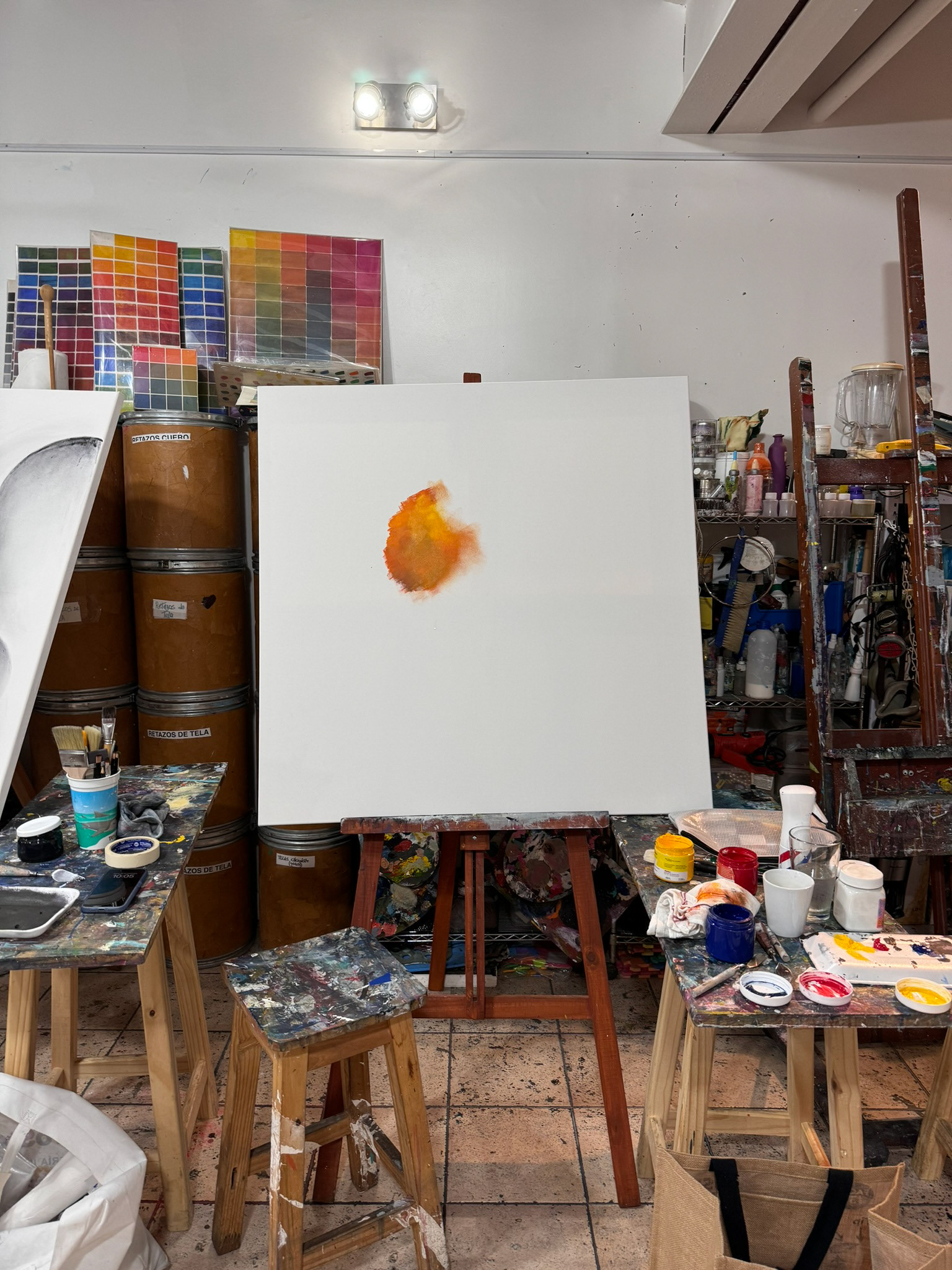 "Evanescencia apacible" proceso creativo