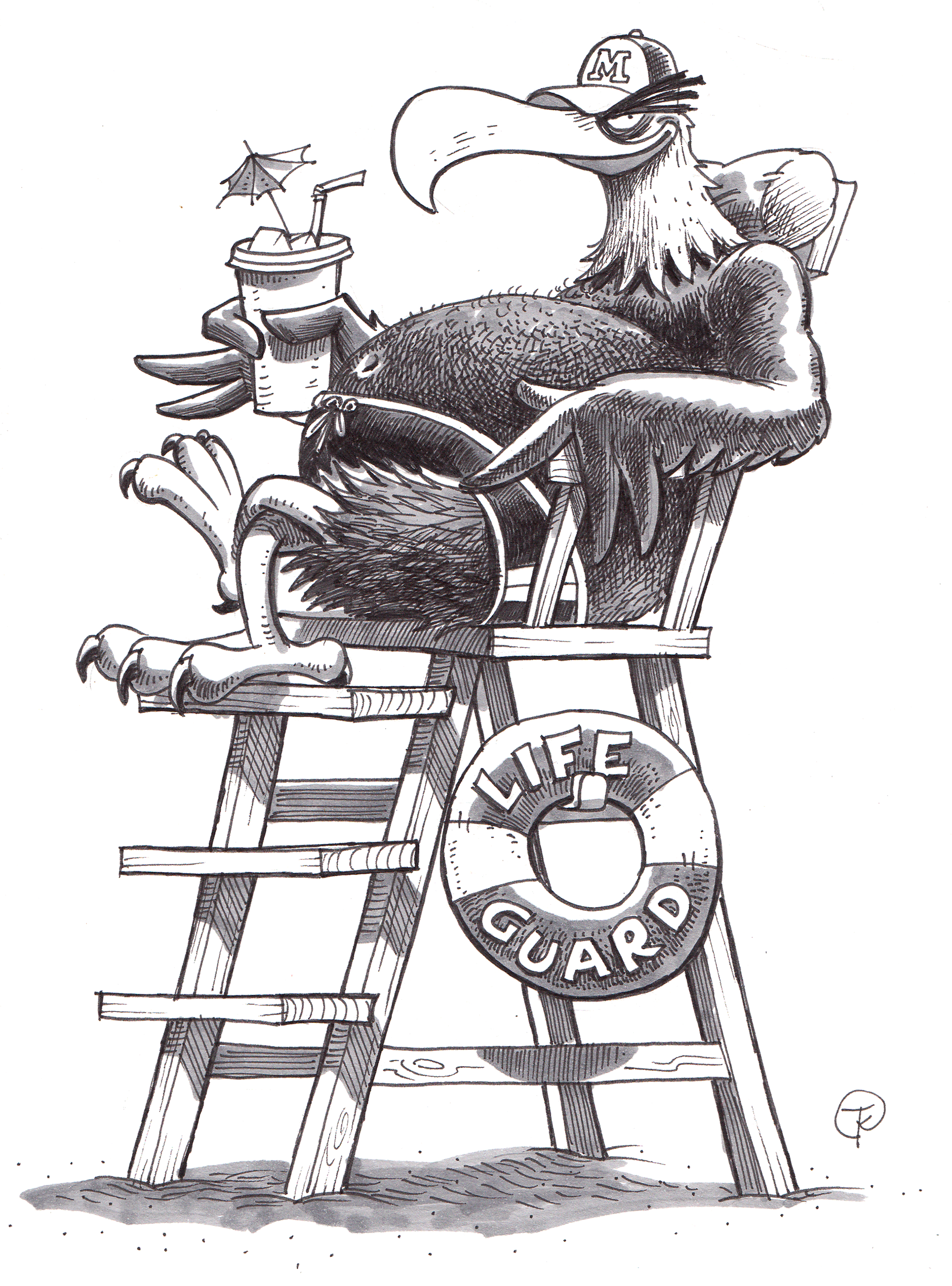 A self portrait of sorts, the Mighty Eagle is watching over the birds.