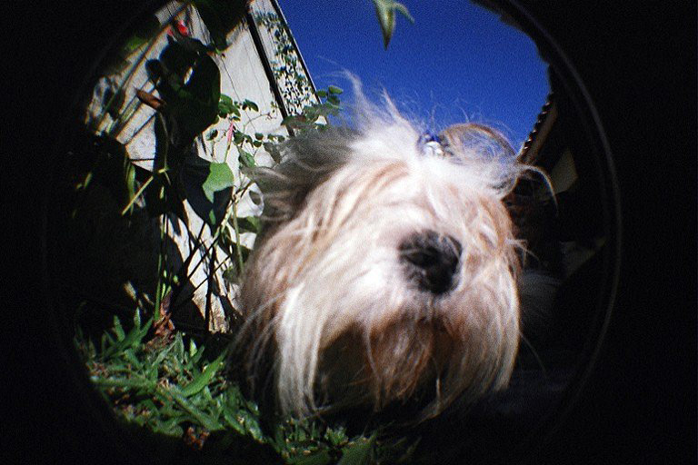 Fisheye