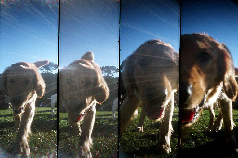 Supersampler