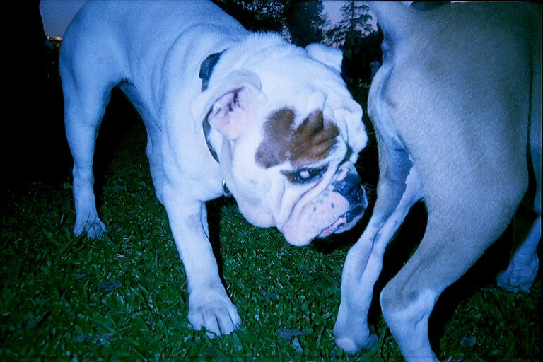 Colorsplash