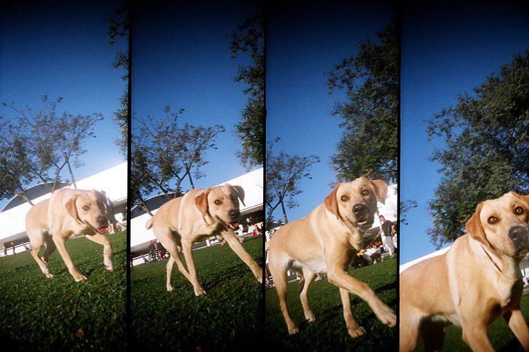 Supersampler