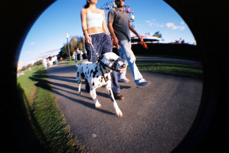 Fisheye