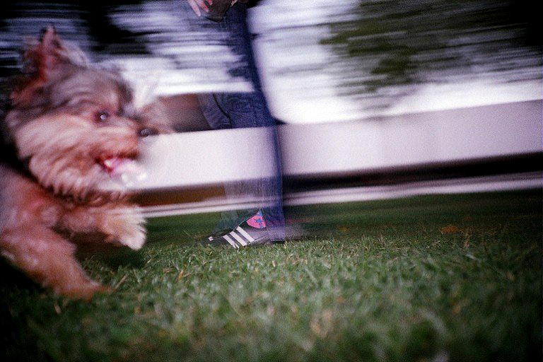 Lomo LC-A