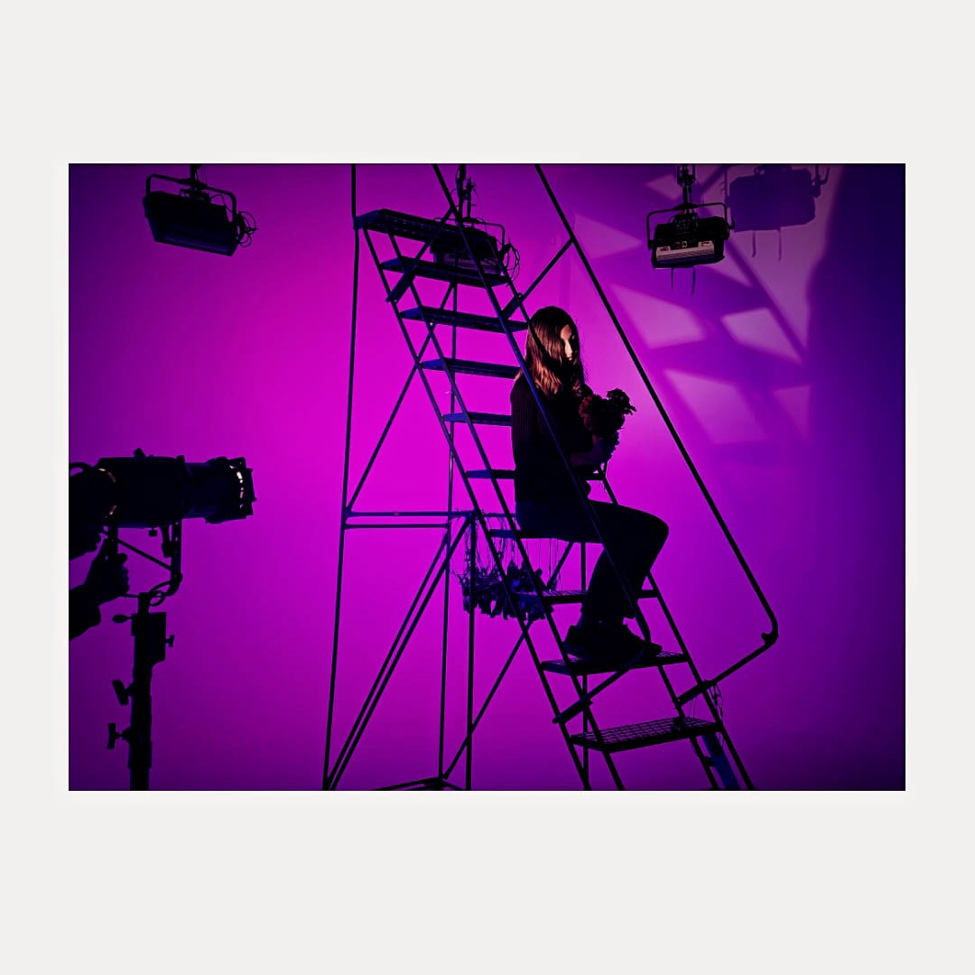 Purple Night, 2024