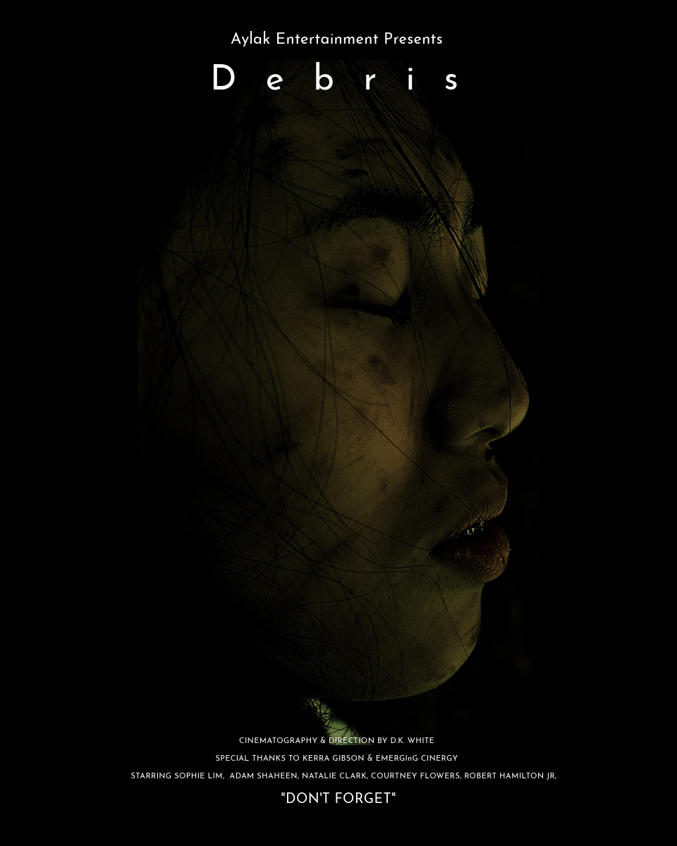 Debris Poster - Design By D.K. White