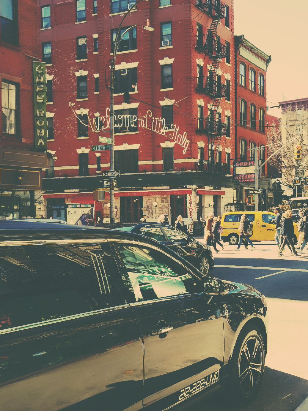 Little Italy, 2018