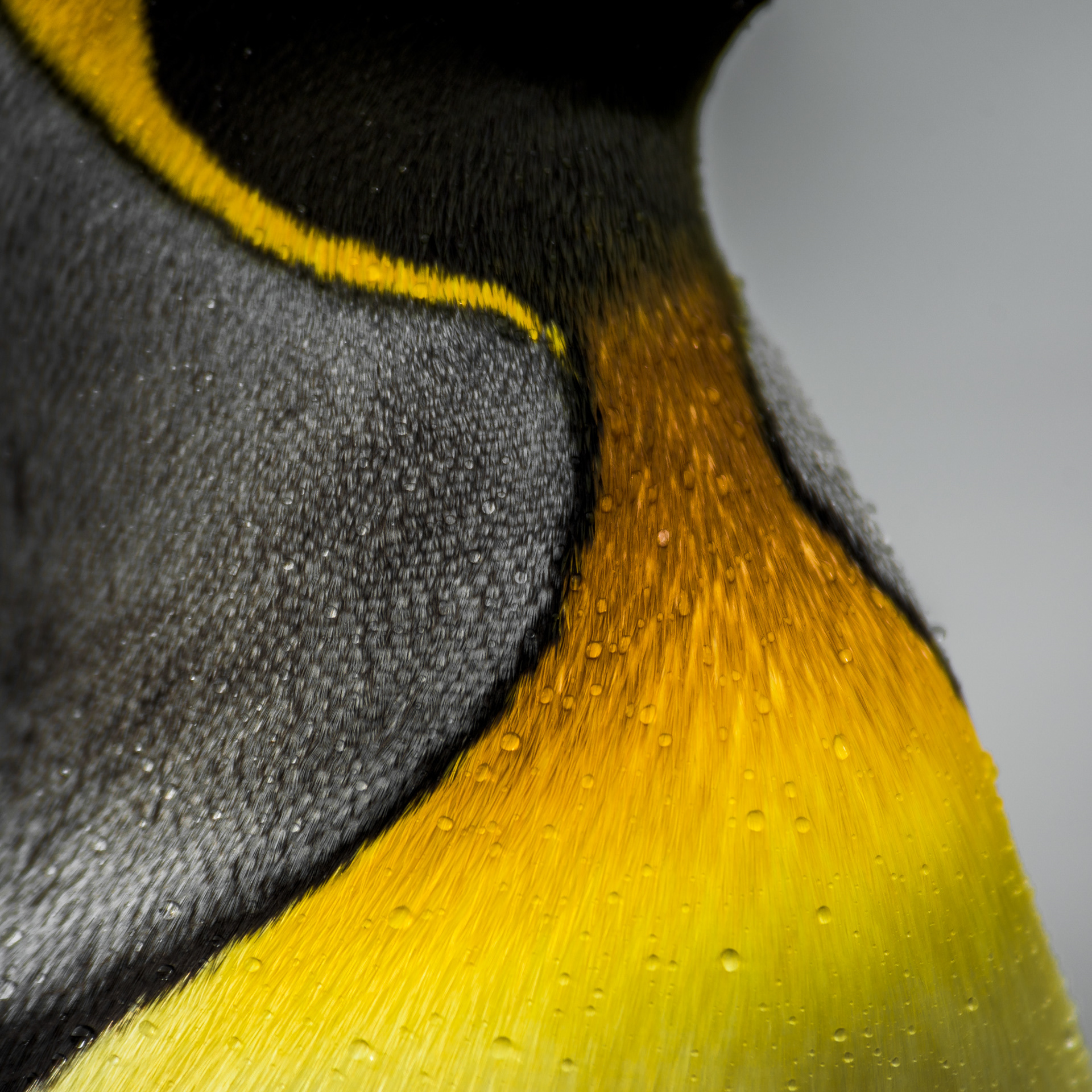 Details 2