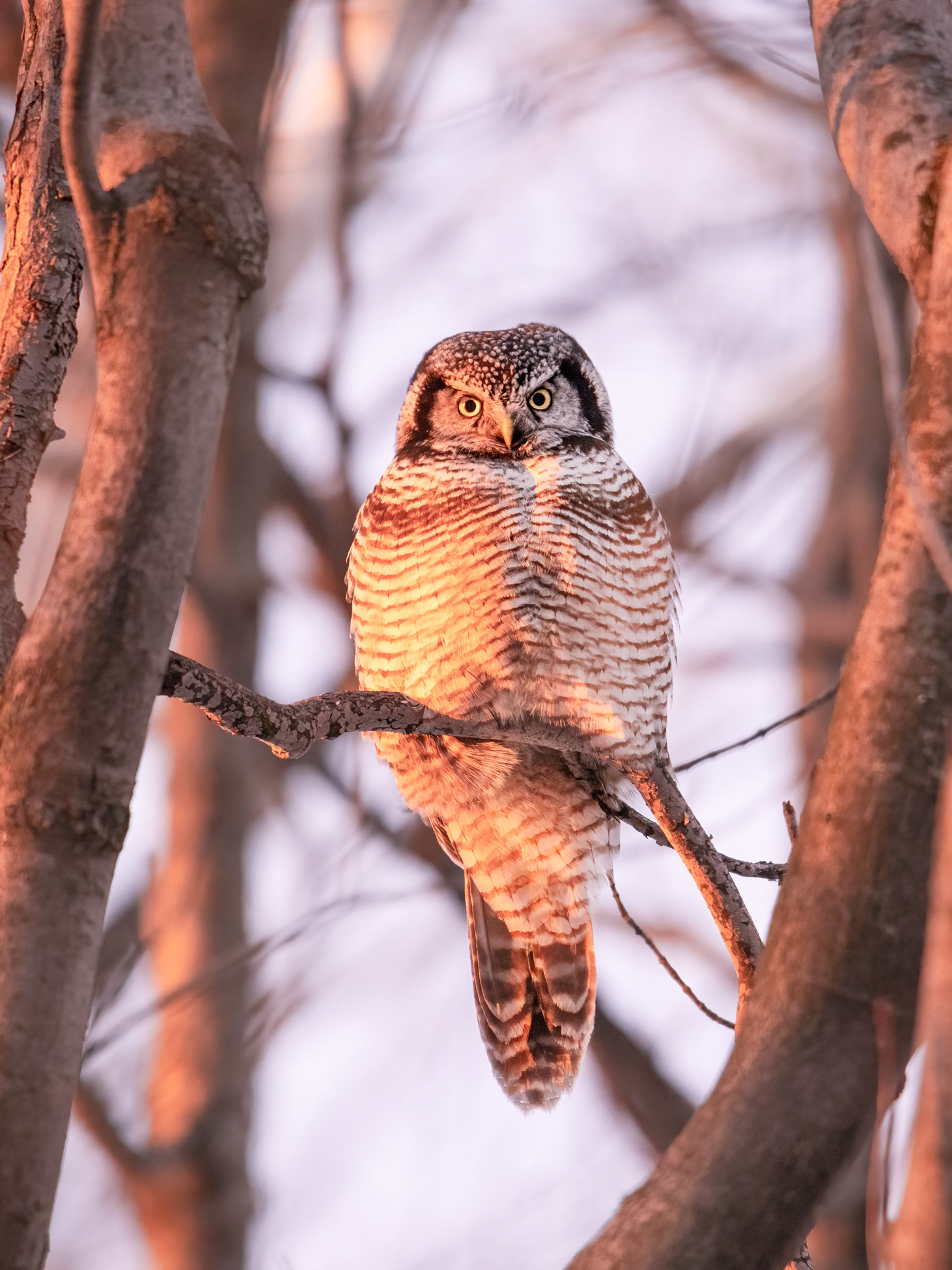 What Are You Looking At