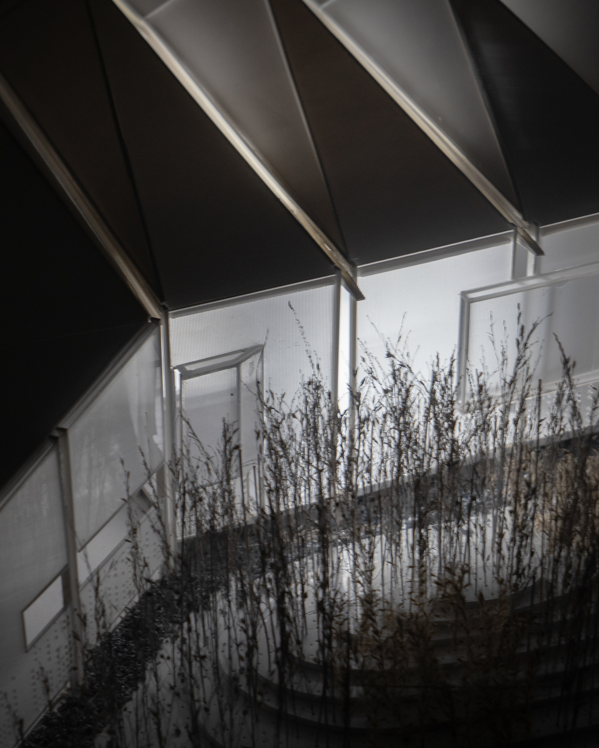 Night-time: walkway along garden