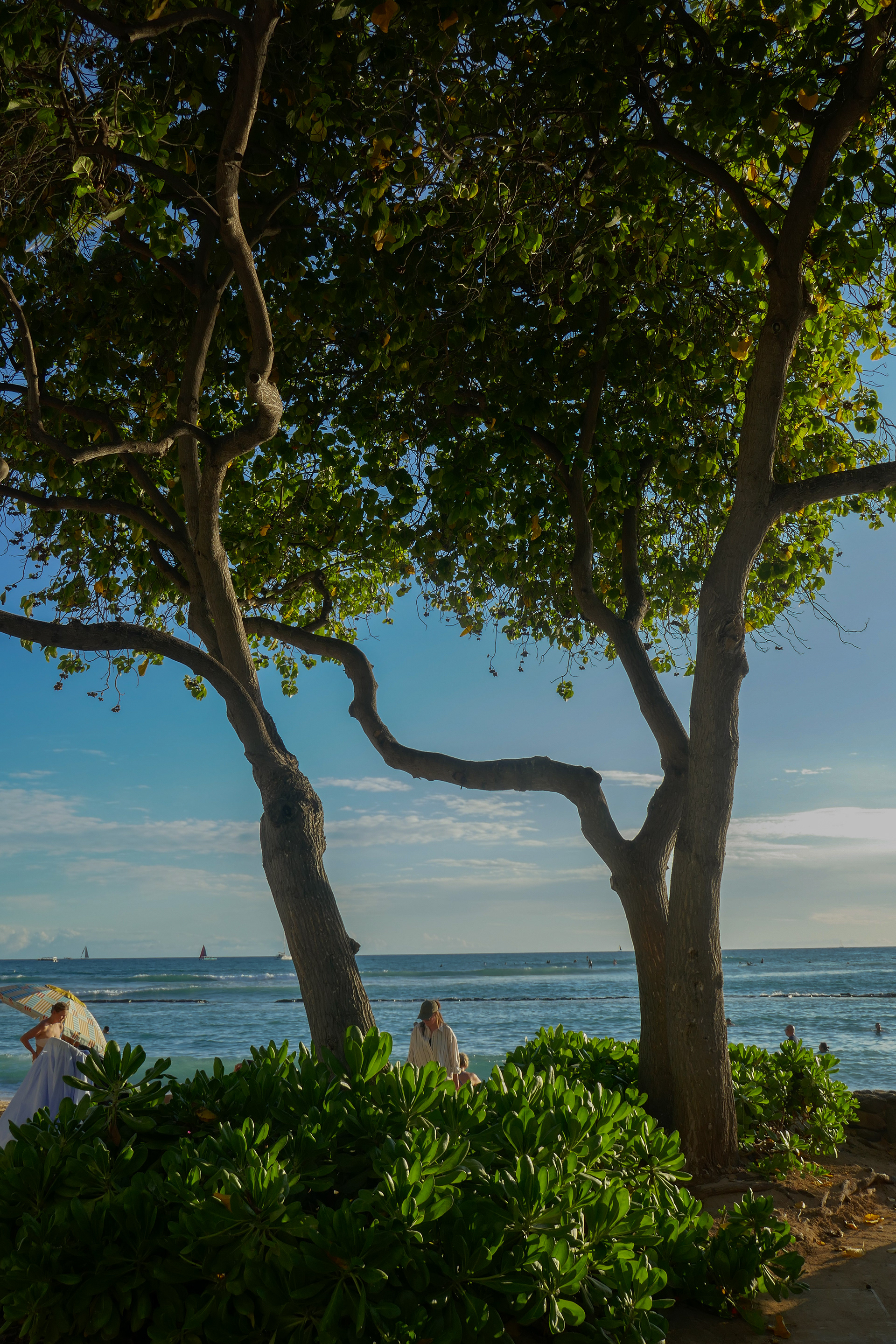 Waikiki, 2024.