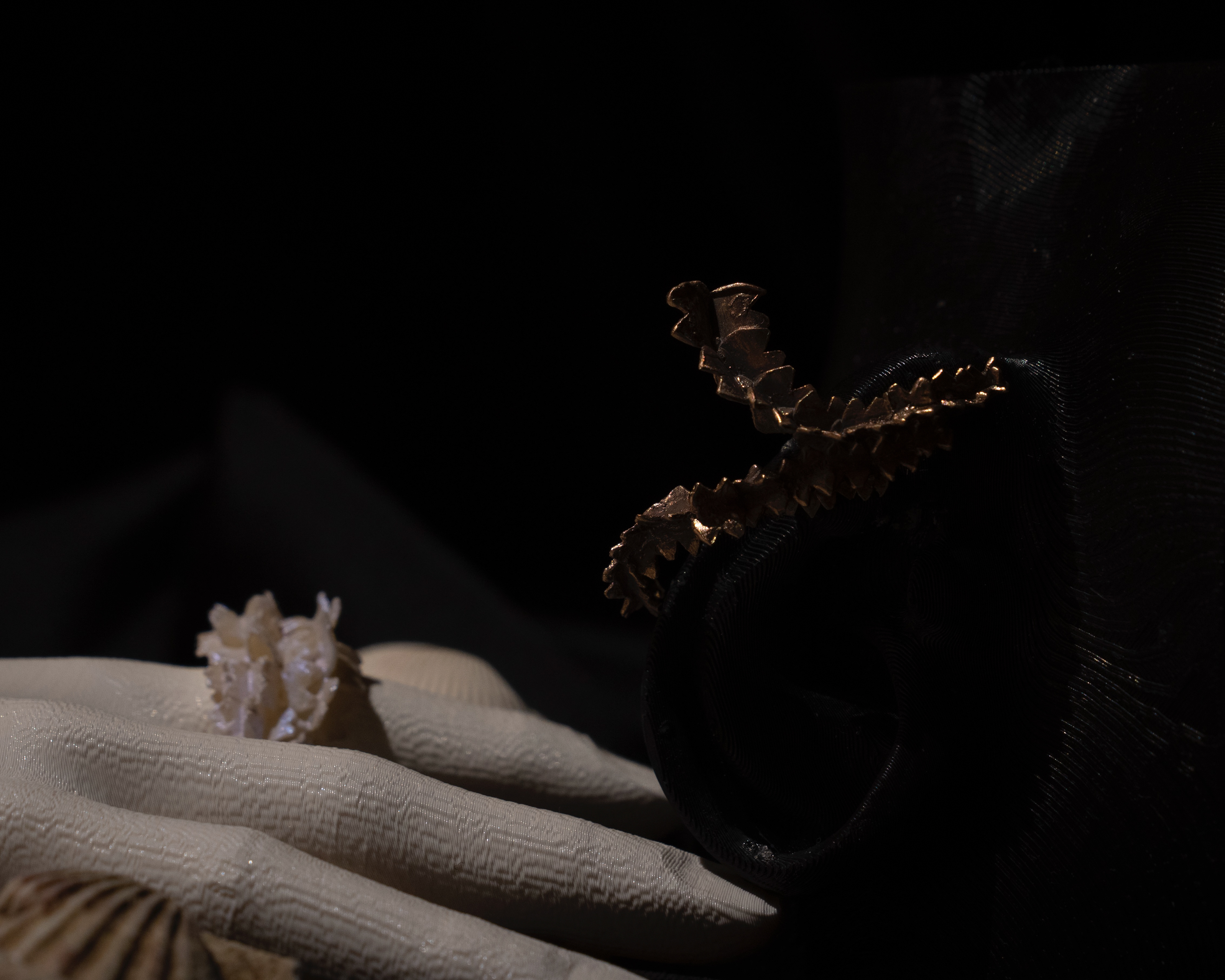 Acrylic Ring + Bronze Cast