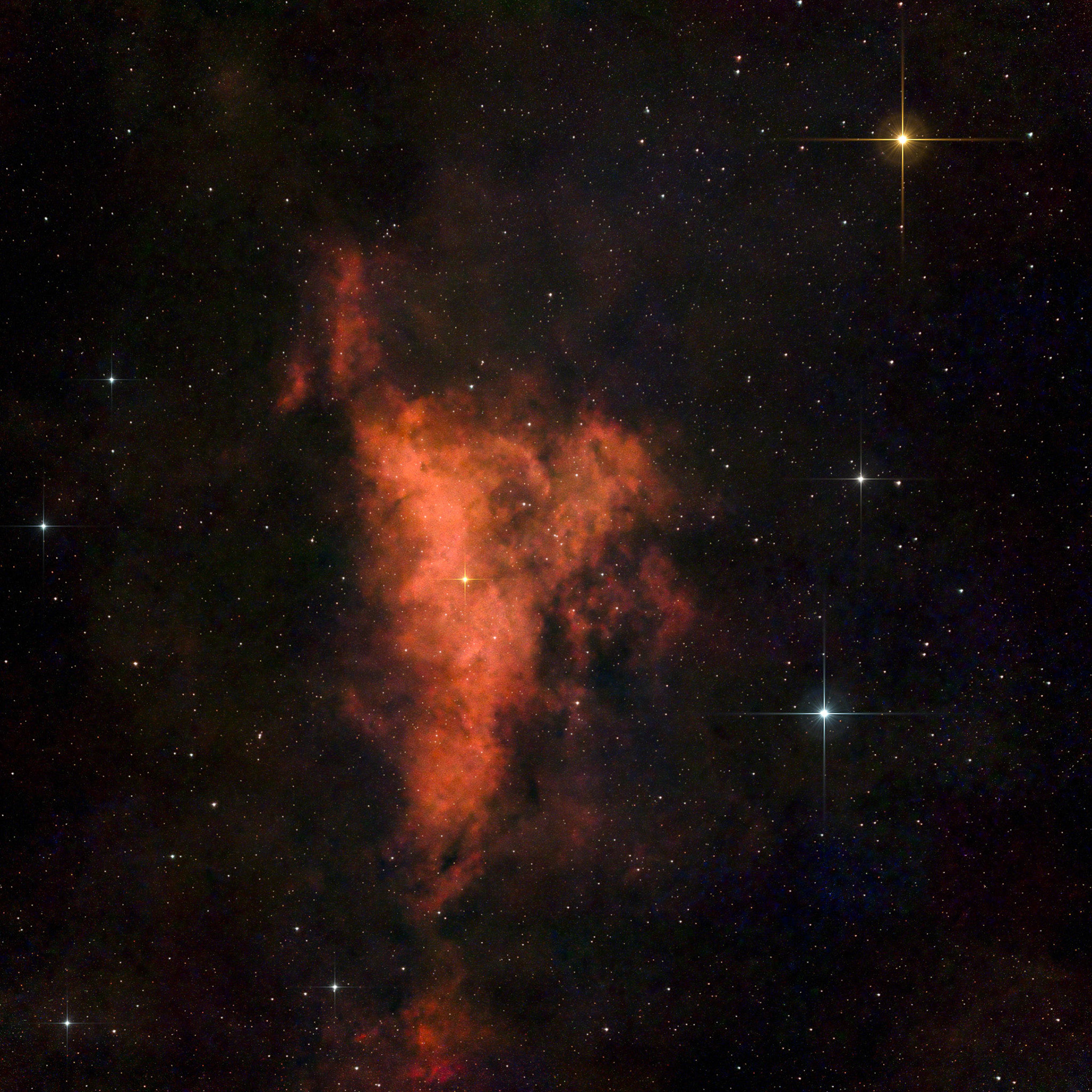 IC1318 (543 exp)