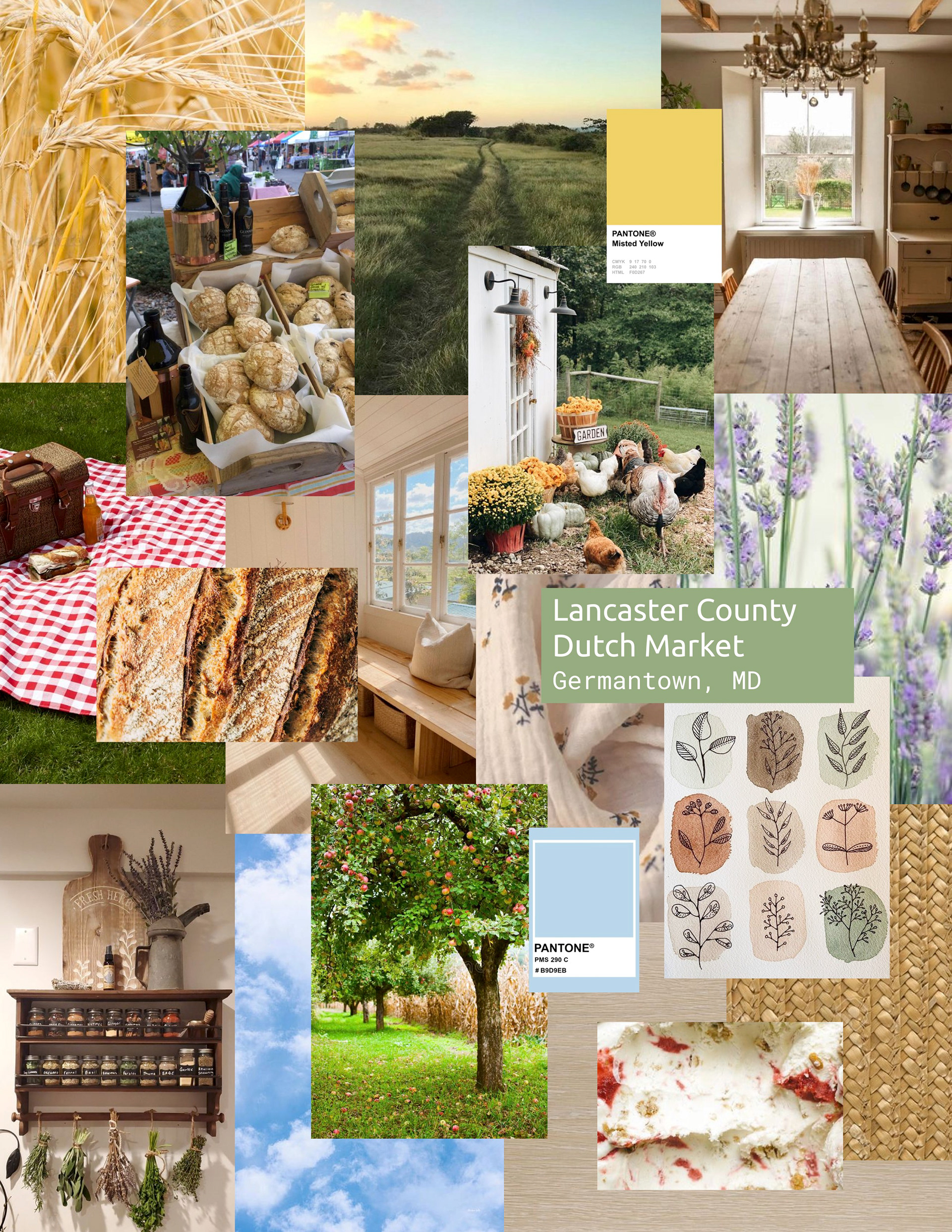 Mood Board