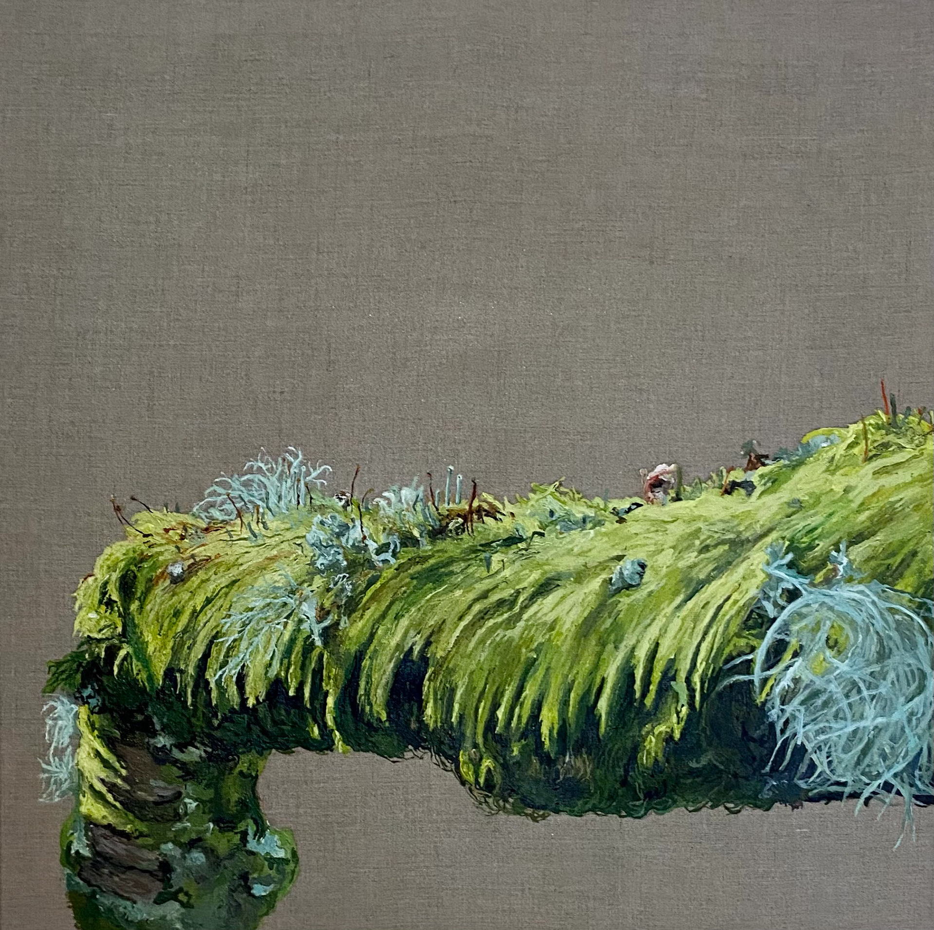 'A Conceptual Invention of Sumptuous Blacks and Subtler Greens' 2022 Oil Painting on Linen, 60 x 60 cm £3000