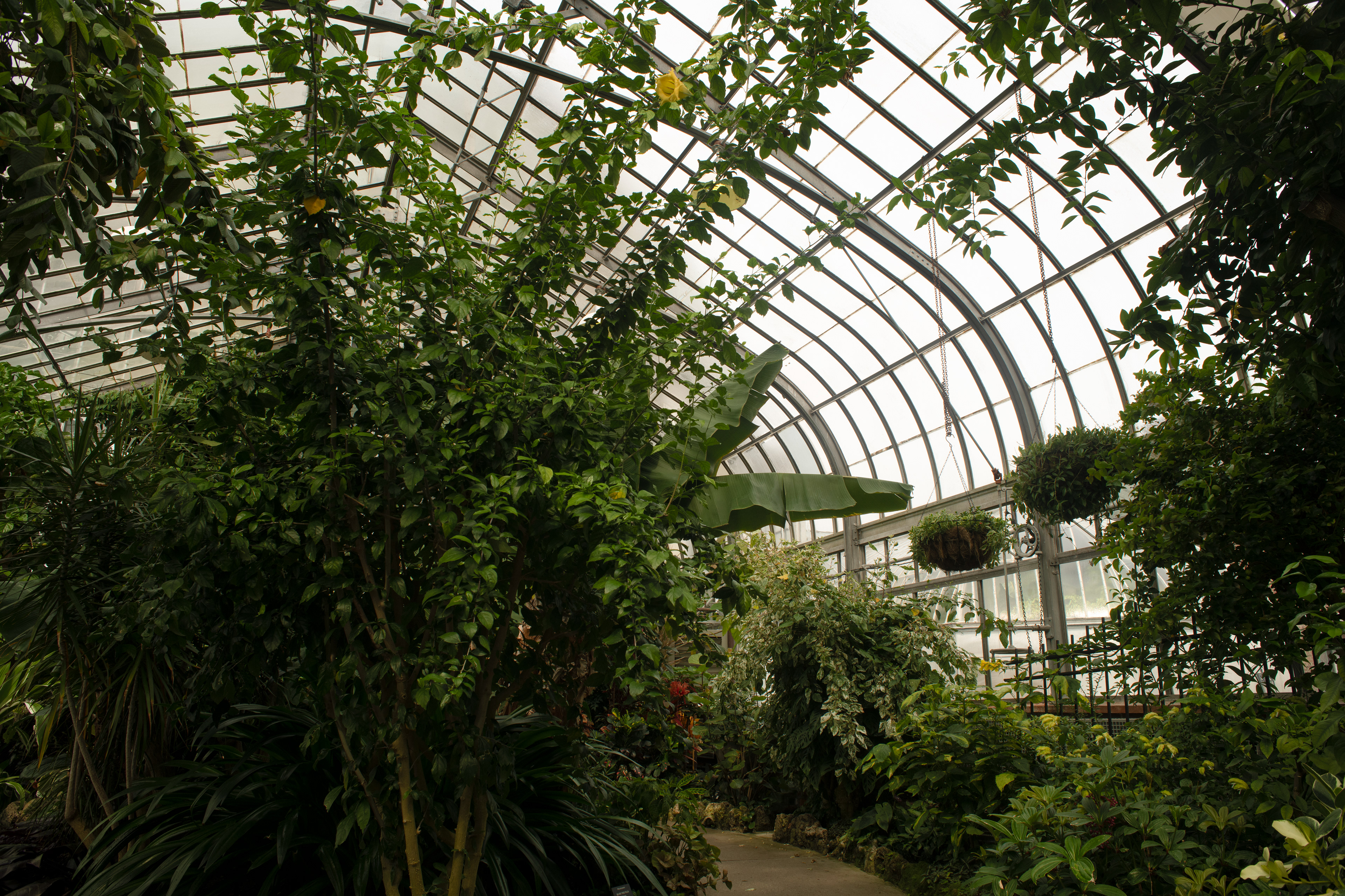 Botanical House