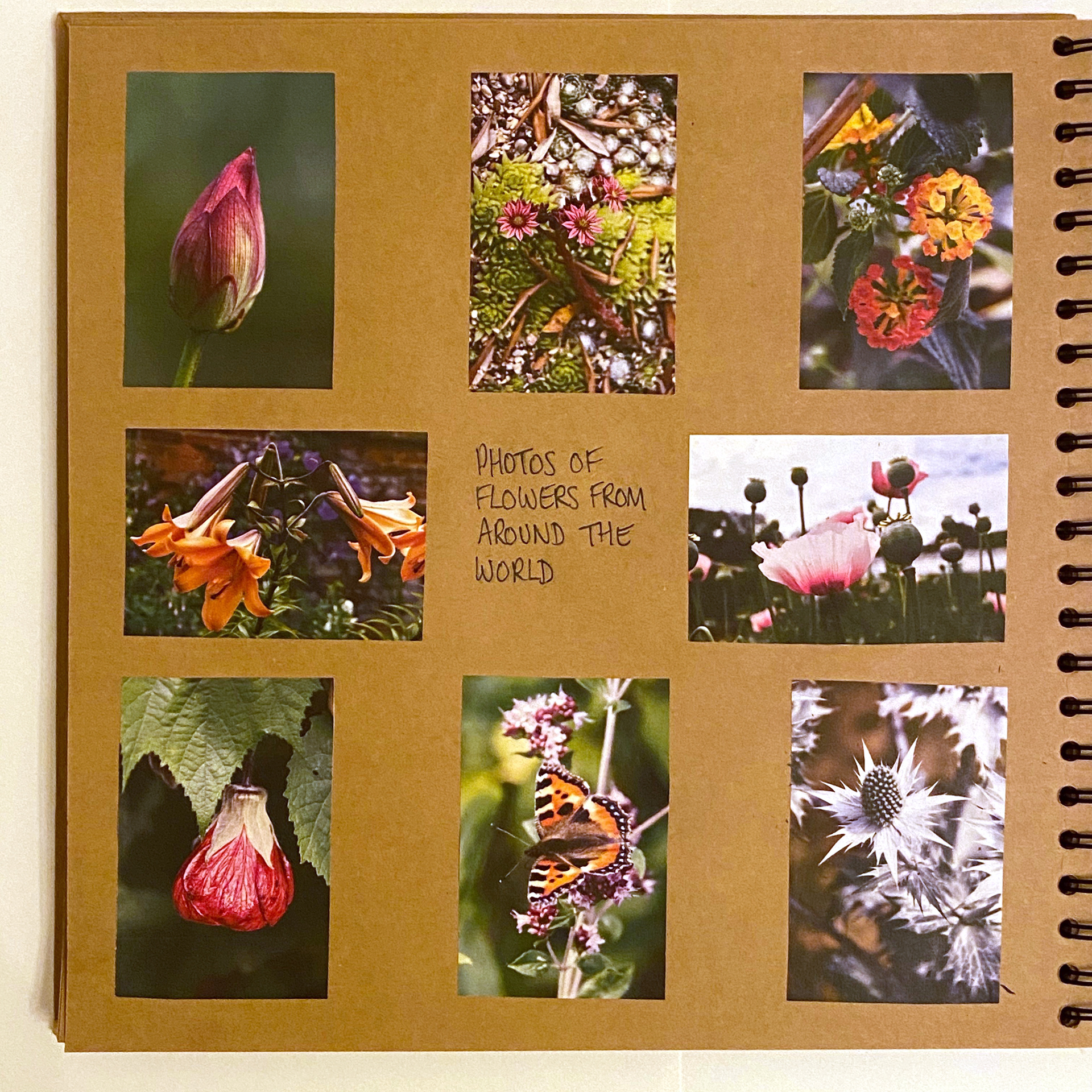 Colour photos