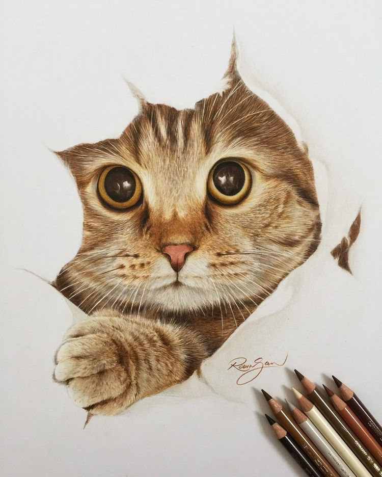 Kingsley Art - Kitten Drawing