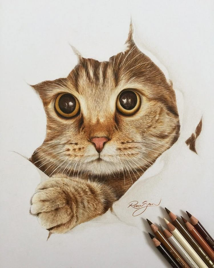 cute kitten drawing