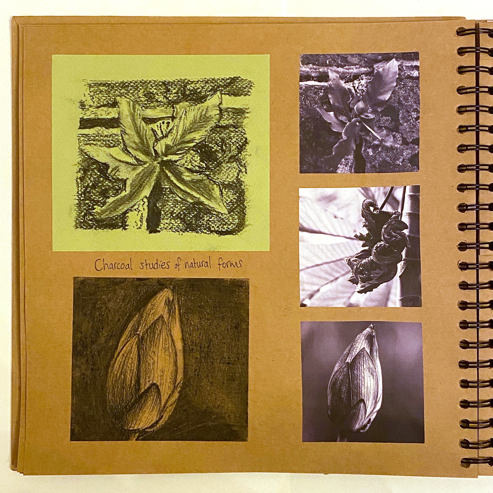 Charcoal & carbon pencil studies