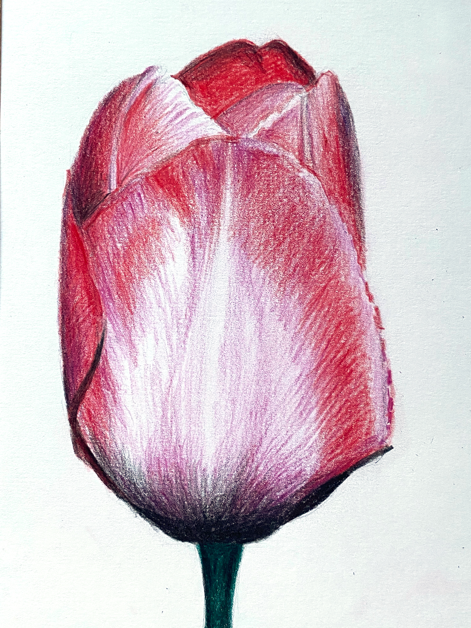 My drawing