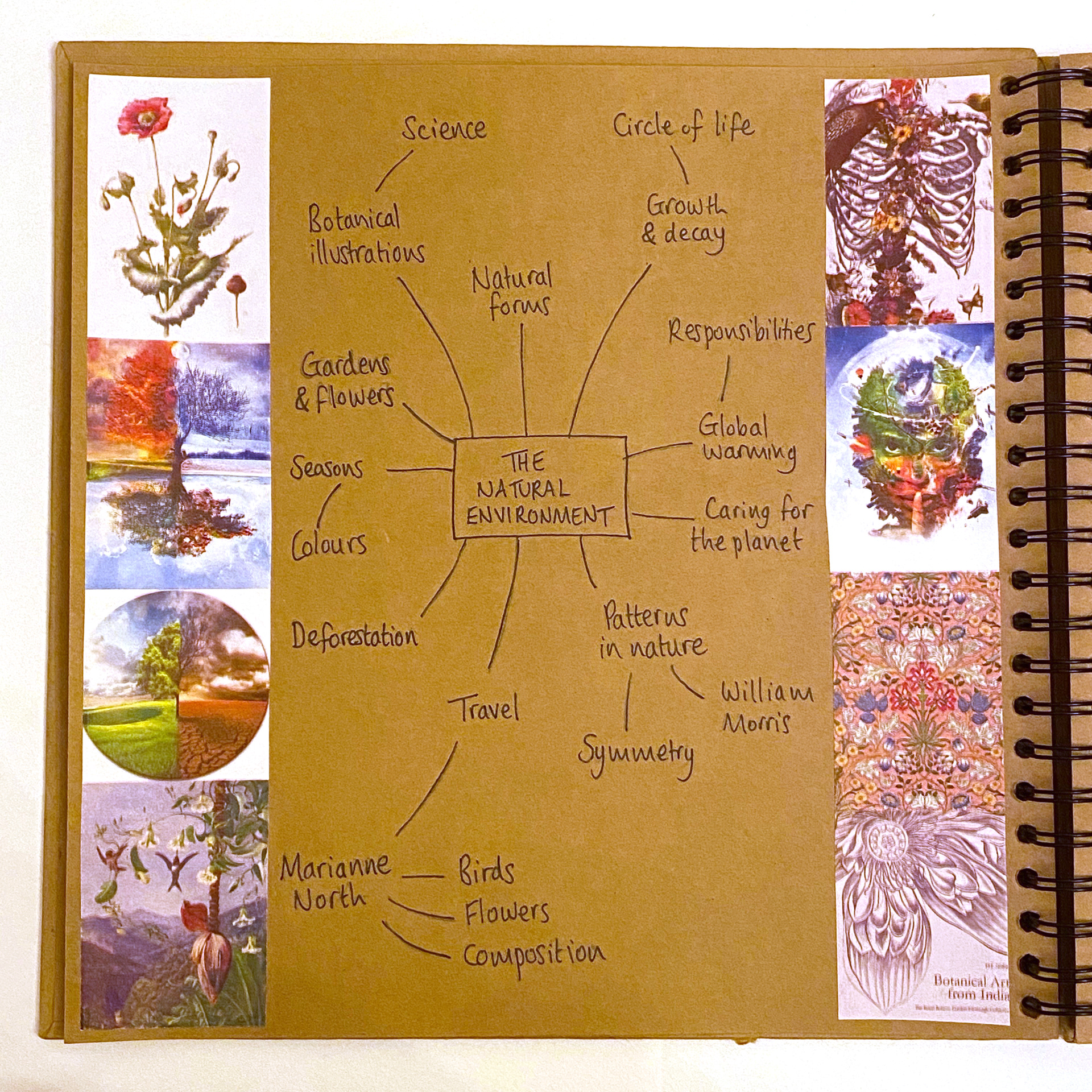 Natural Forms Mind Map Kingsley Art - Gcse Introductory Project: Exemplar