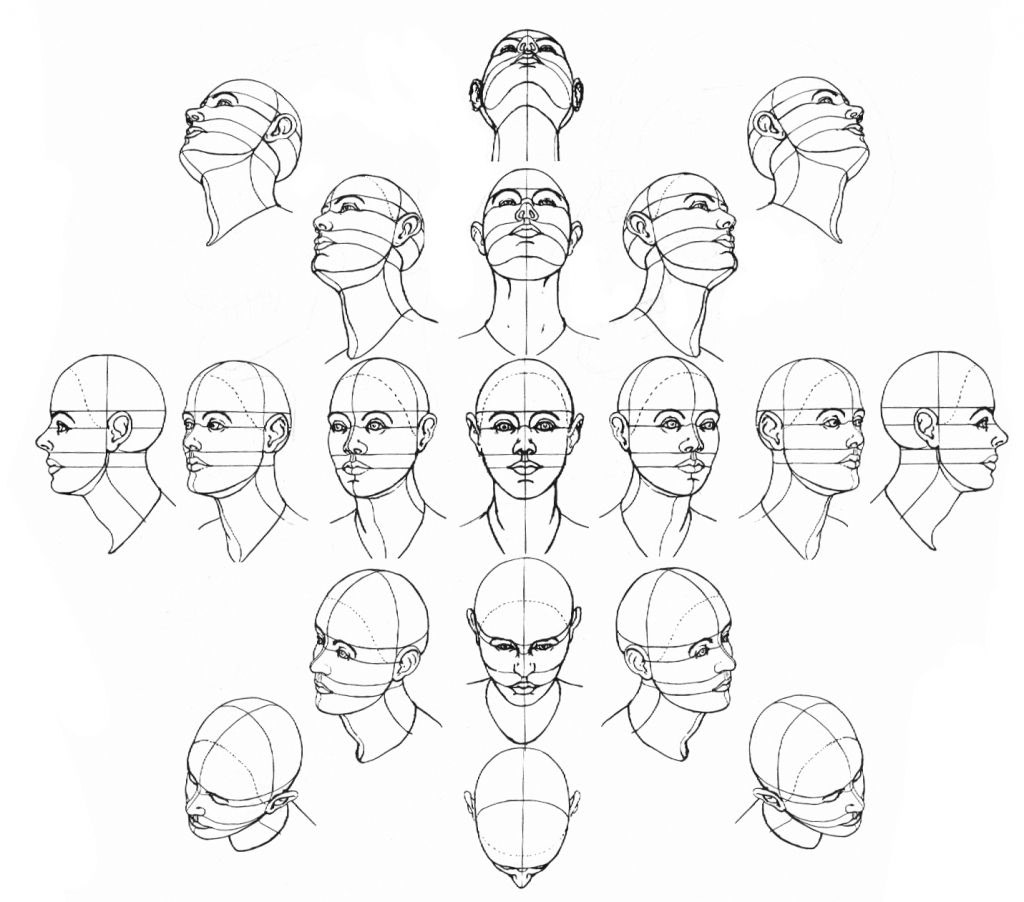 how to draw human faces proportions