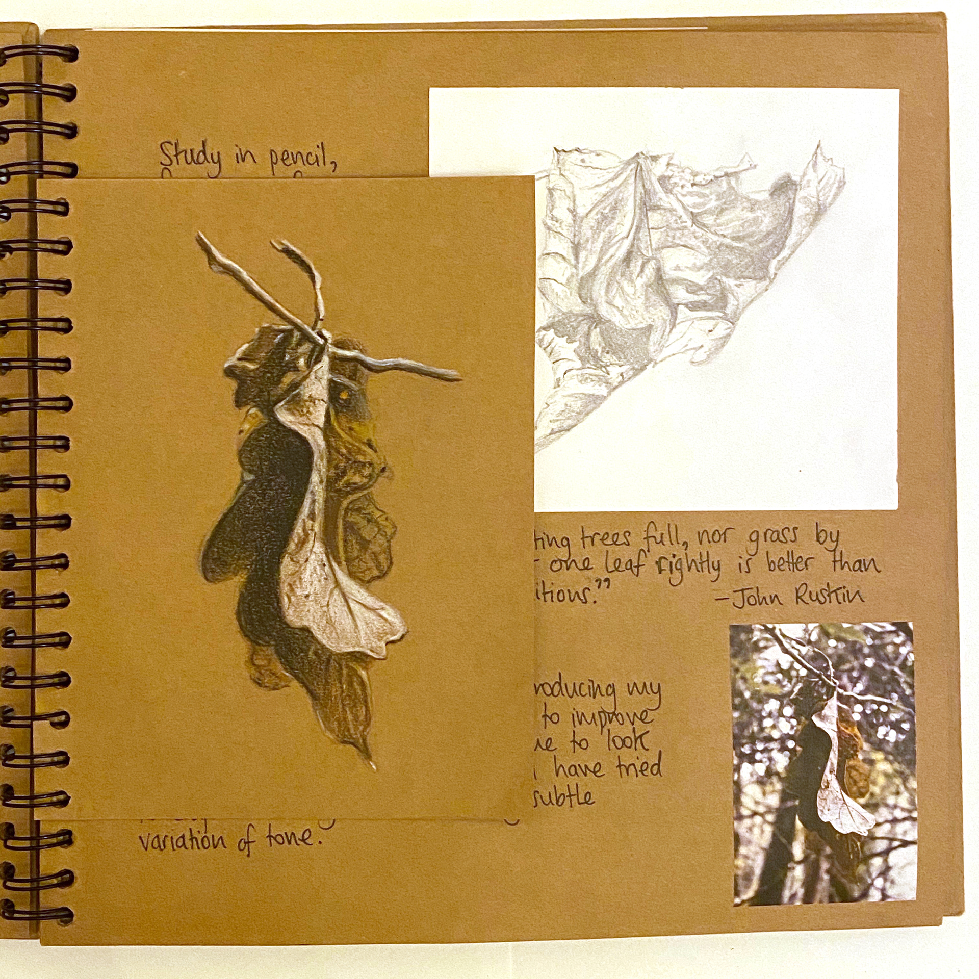Inspired by Ruskin