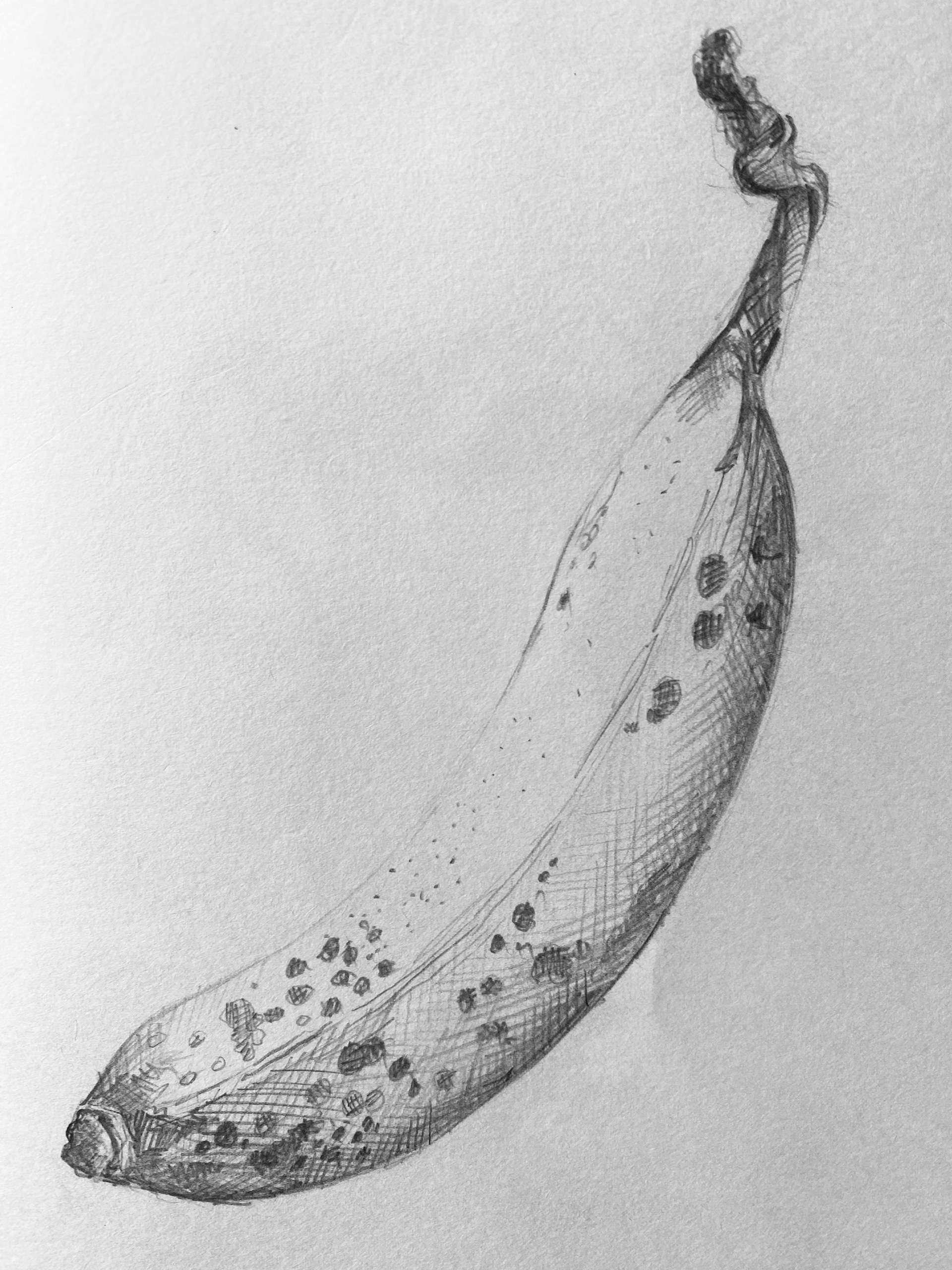 2. Mark-making in pencil