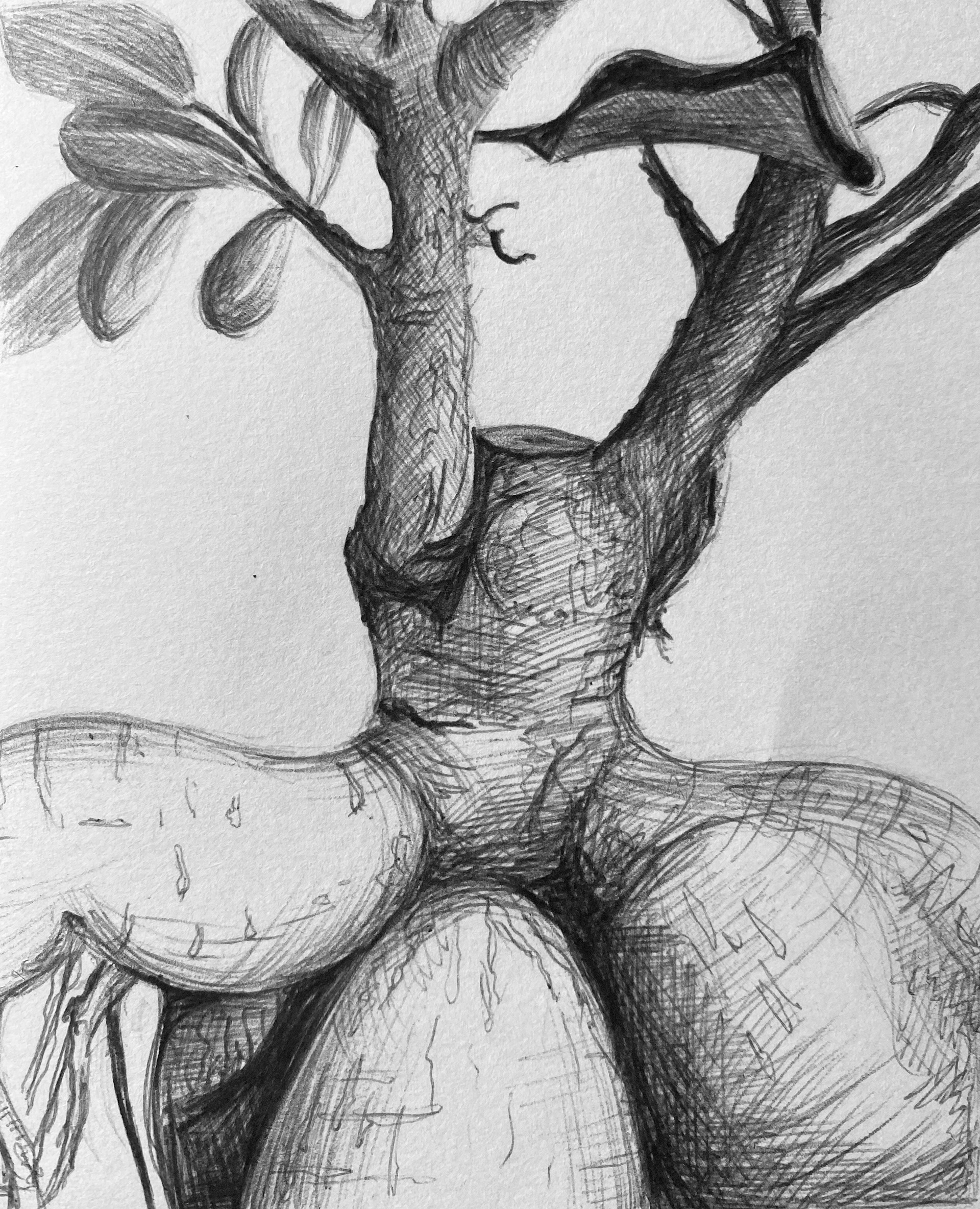 3. Textured object in black biro