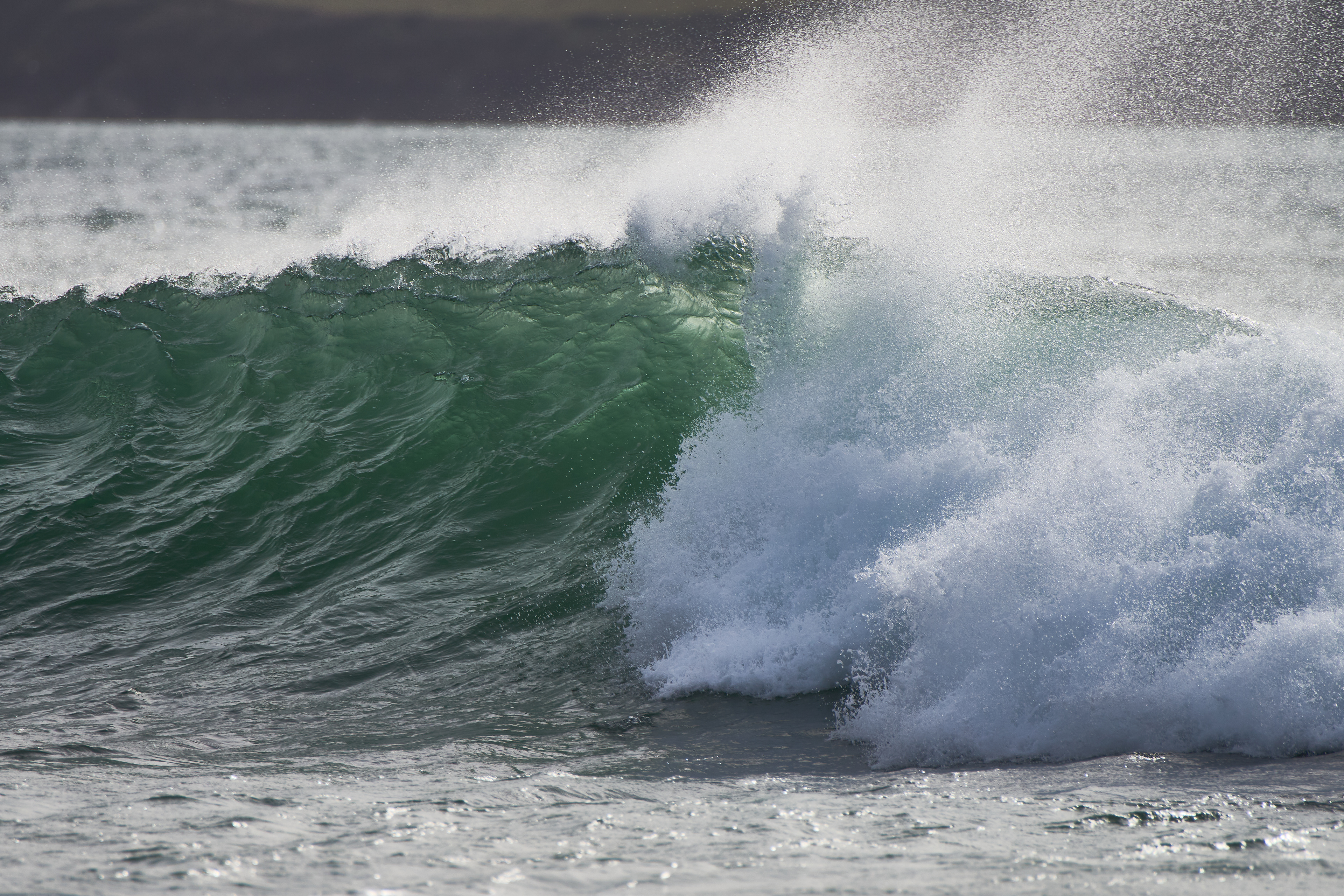 The Wave