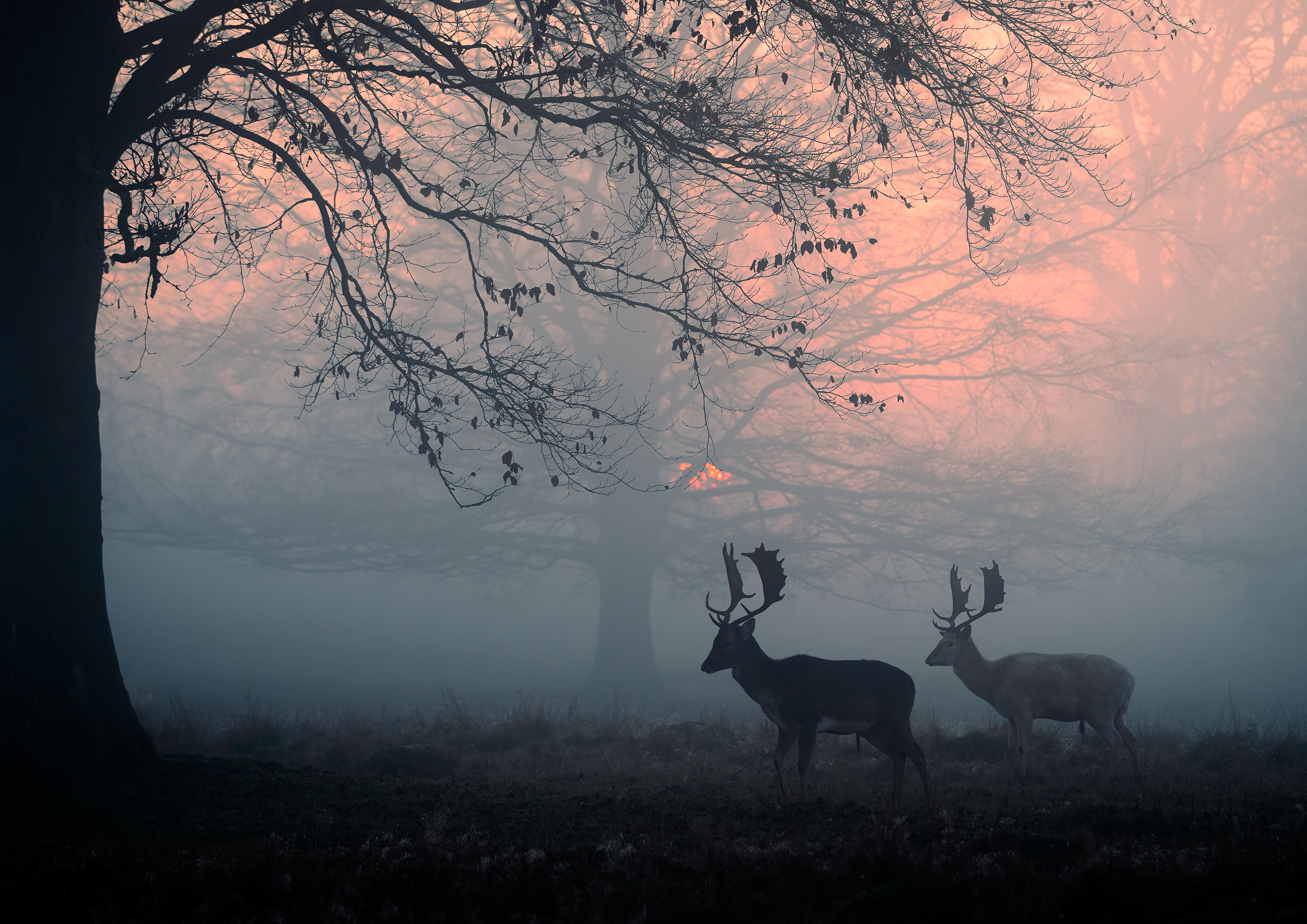 Nightfall