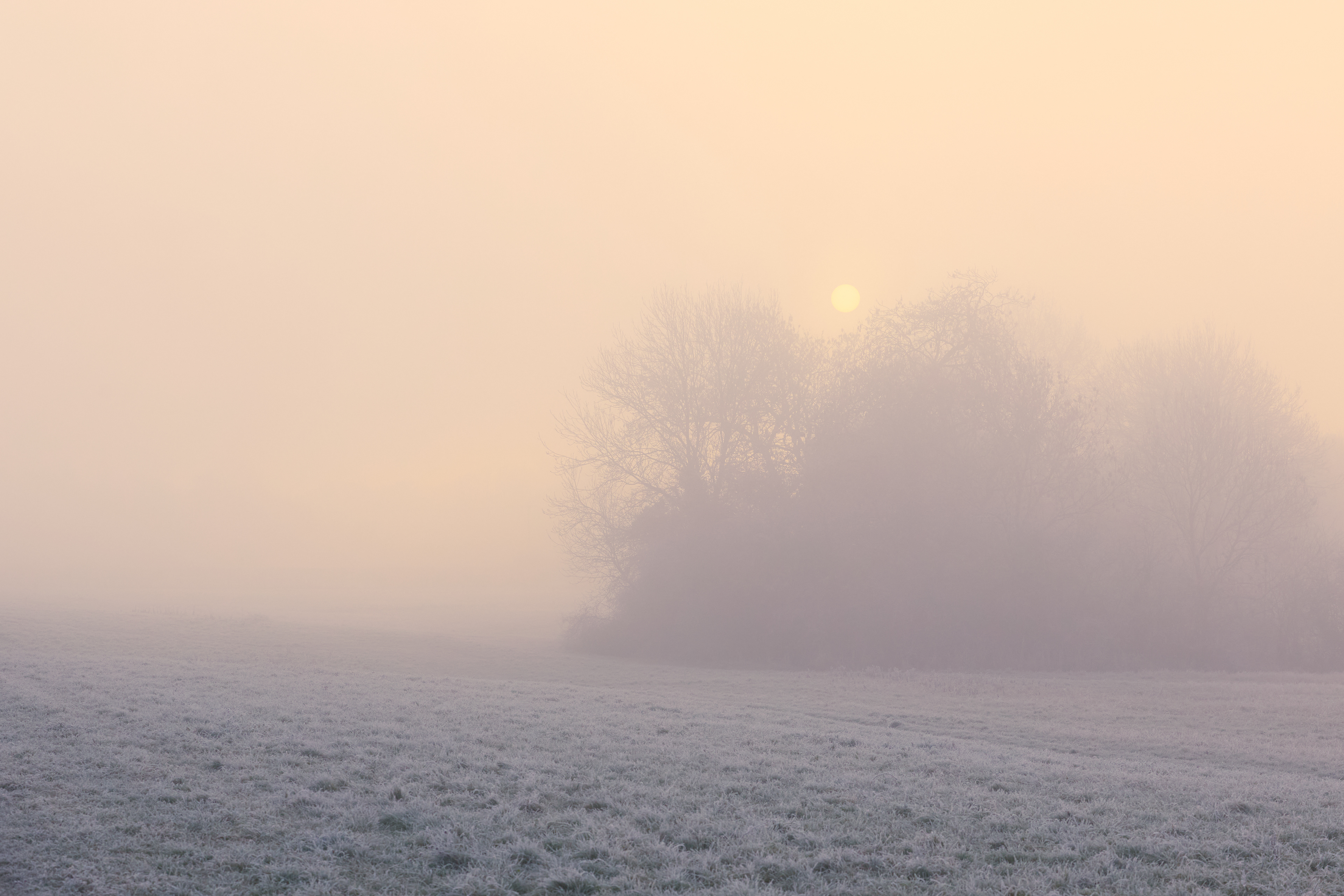 Winter Sunrise