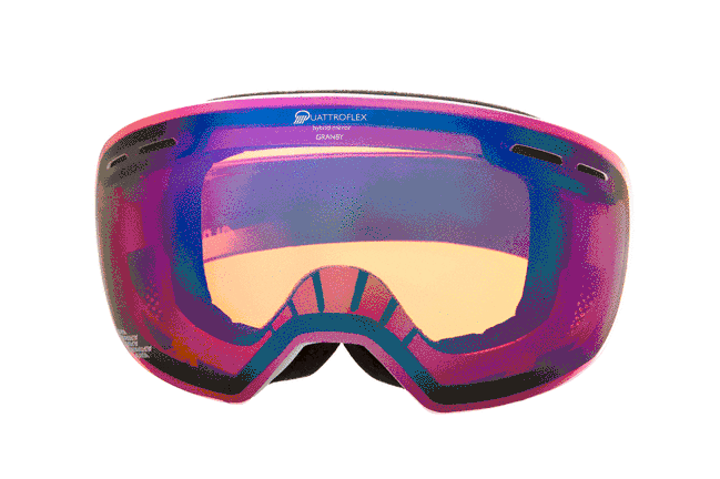 Alpina Skibrille 360°