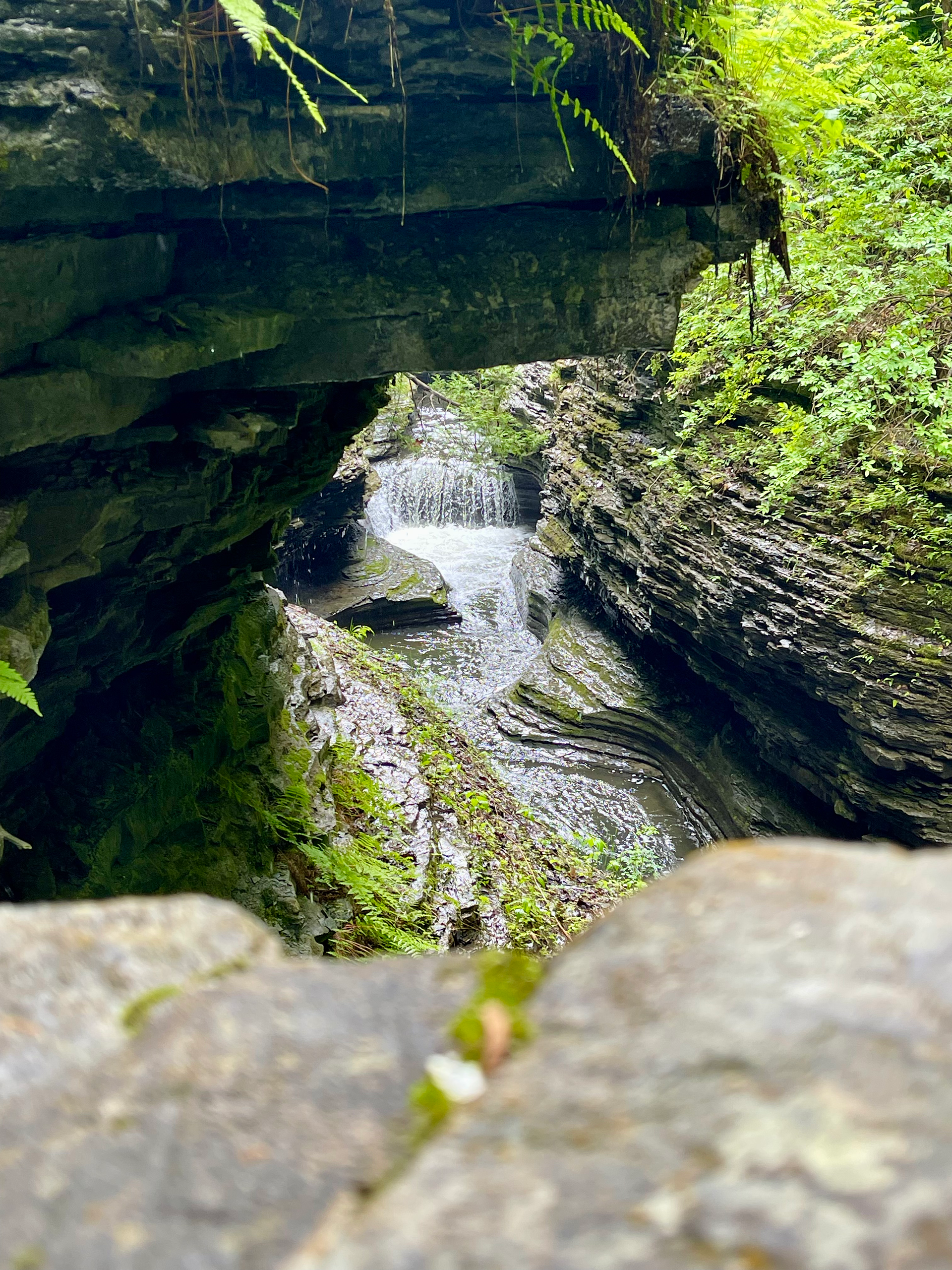 Watkins Glen State Park, New York