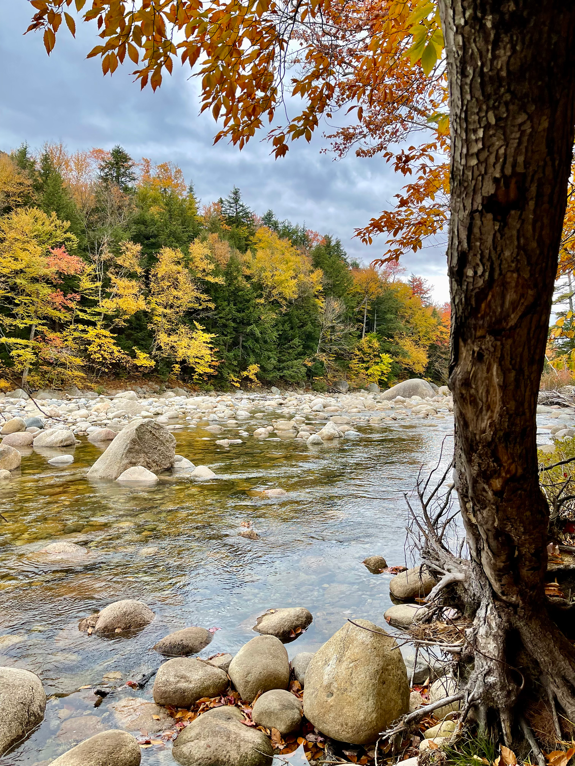 White Mountains National Forest