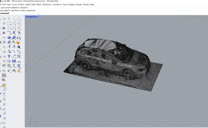 Rhino Project