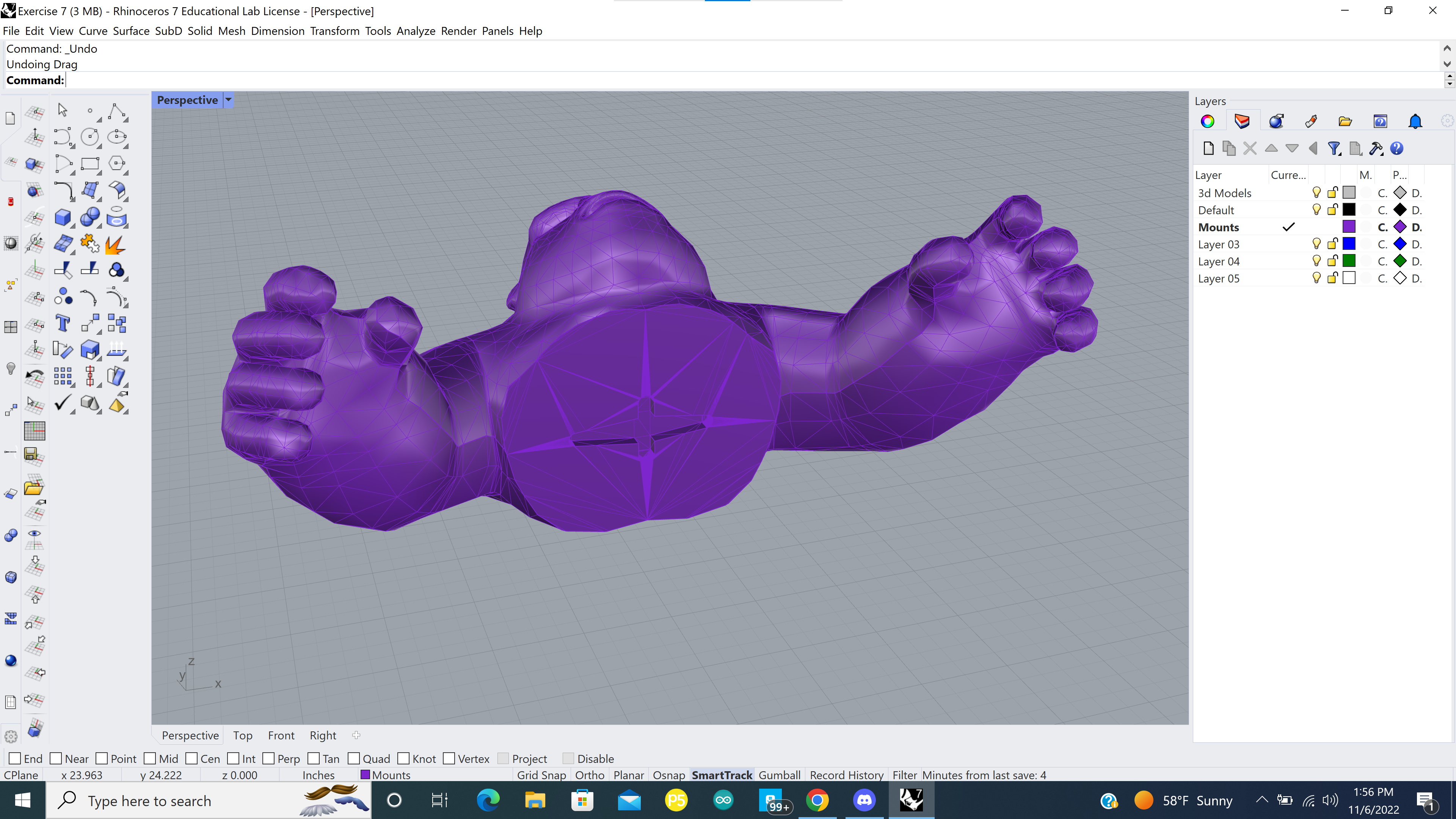 Rhino Project
