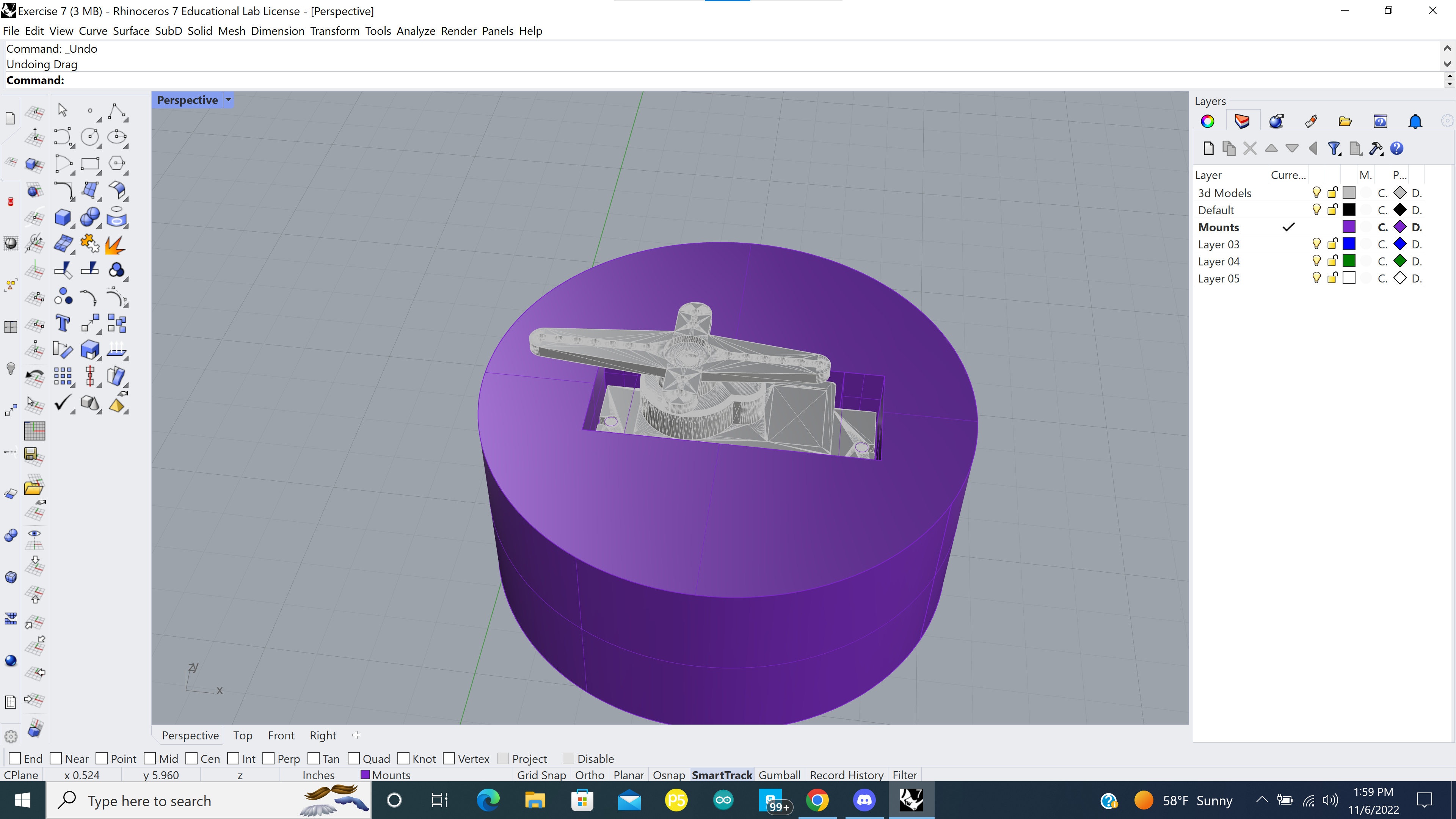 Rhino Project