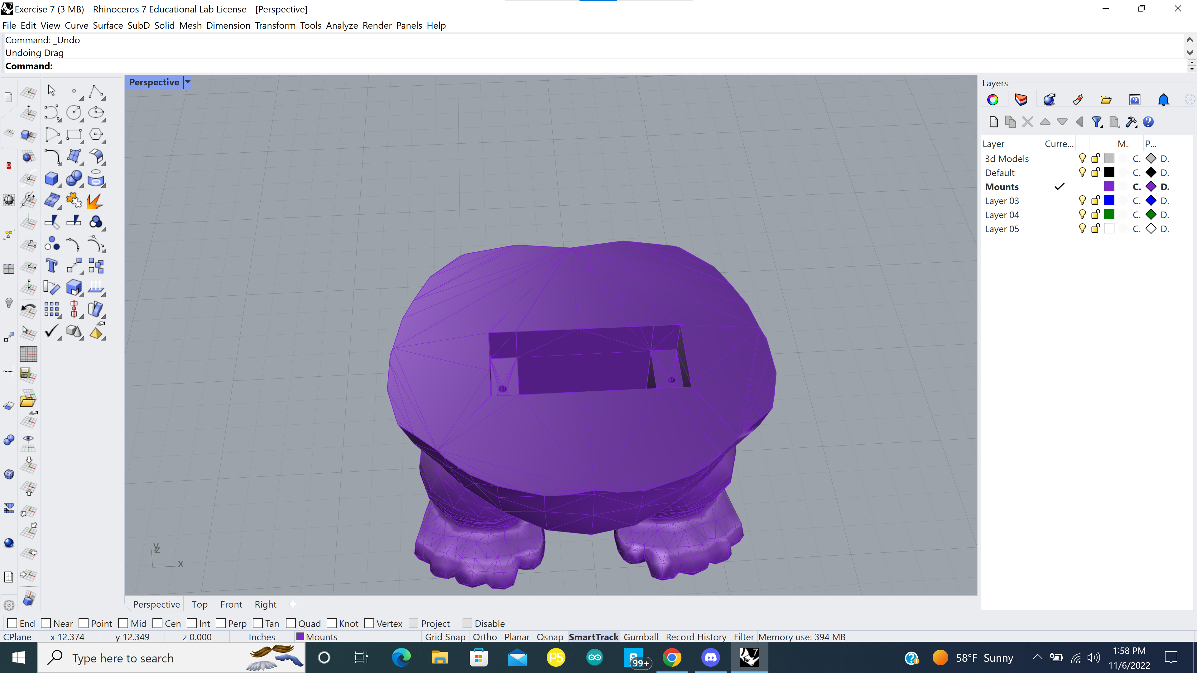 Rhino Project