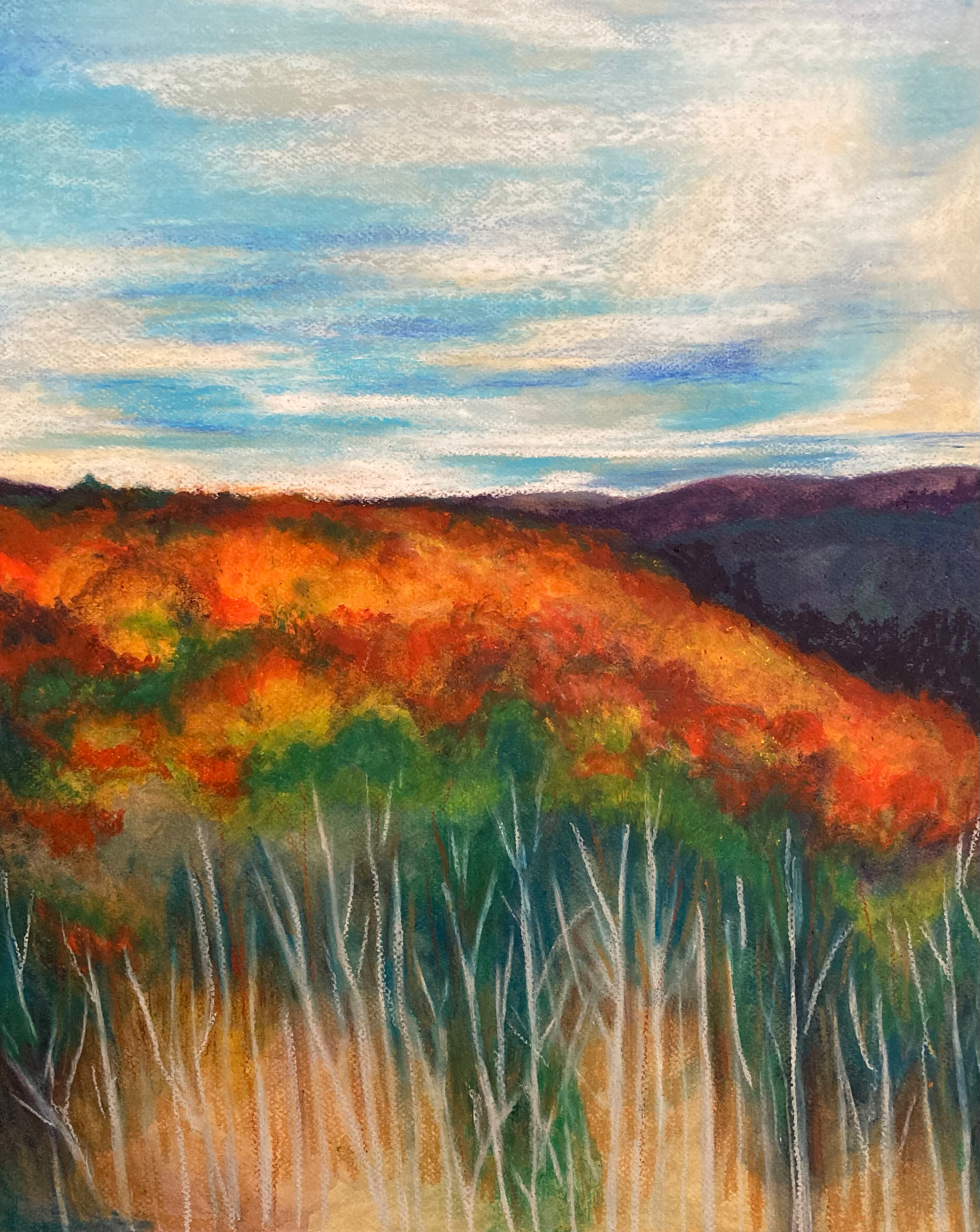 Eureka Springs 2, Oil Pastel on Mi-Teintes Board, 20 x 16 in.