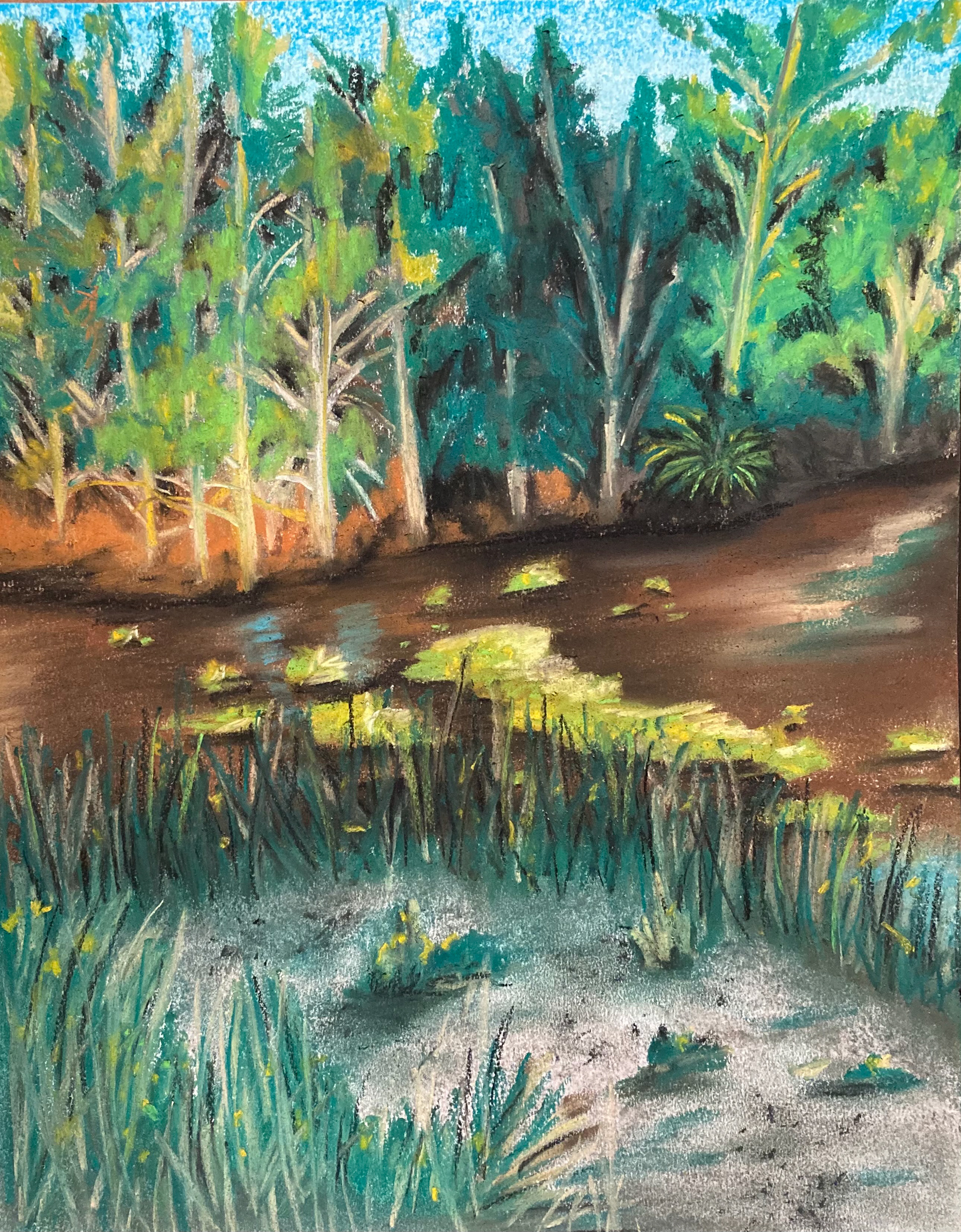 Backyard Canal, The Acreage 2, Soft Pastel on Paper, 11 x 14 in.