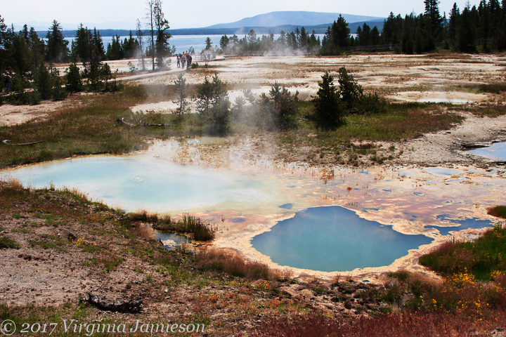 Dangerous ponds with sulphuric steam at Yellowstone NP; UA-92916515-1