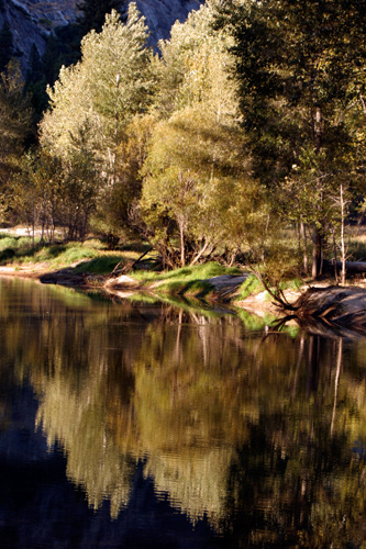 Fall Reflections of trees at Yosemite NP; UA-92916515-1