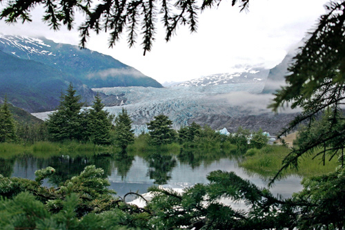 View of Mendenhall Glacier, Alaska through the pine trees; UA-92916515-1