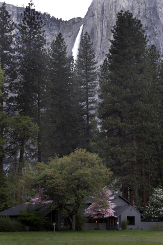 Village in the valley at Yosemite NP; UA-92916515-1