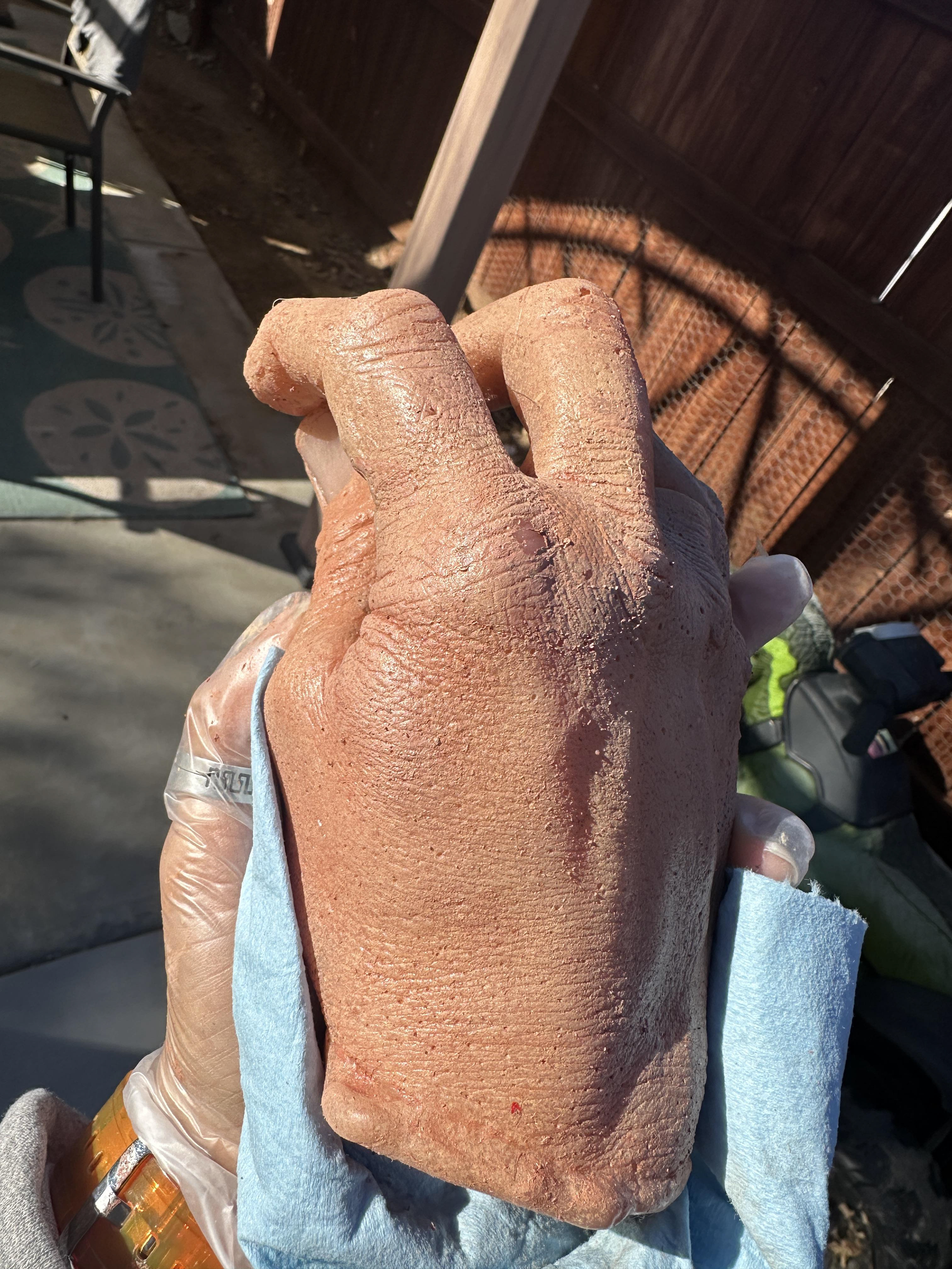 Body Parts PROPS