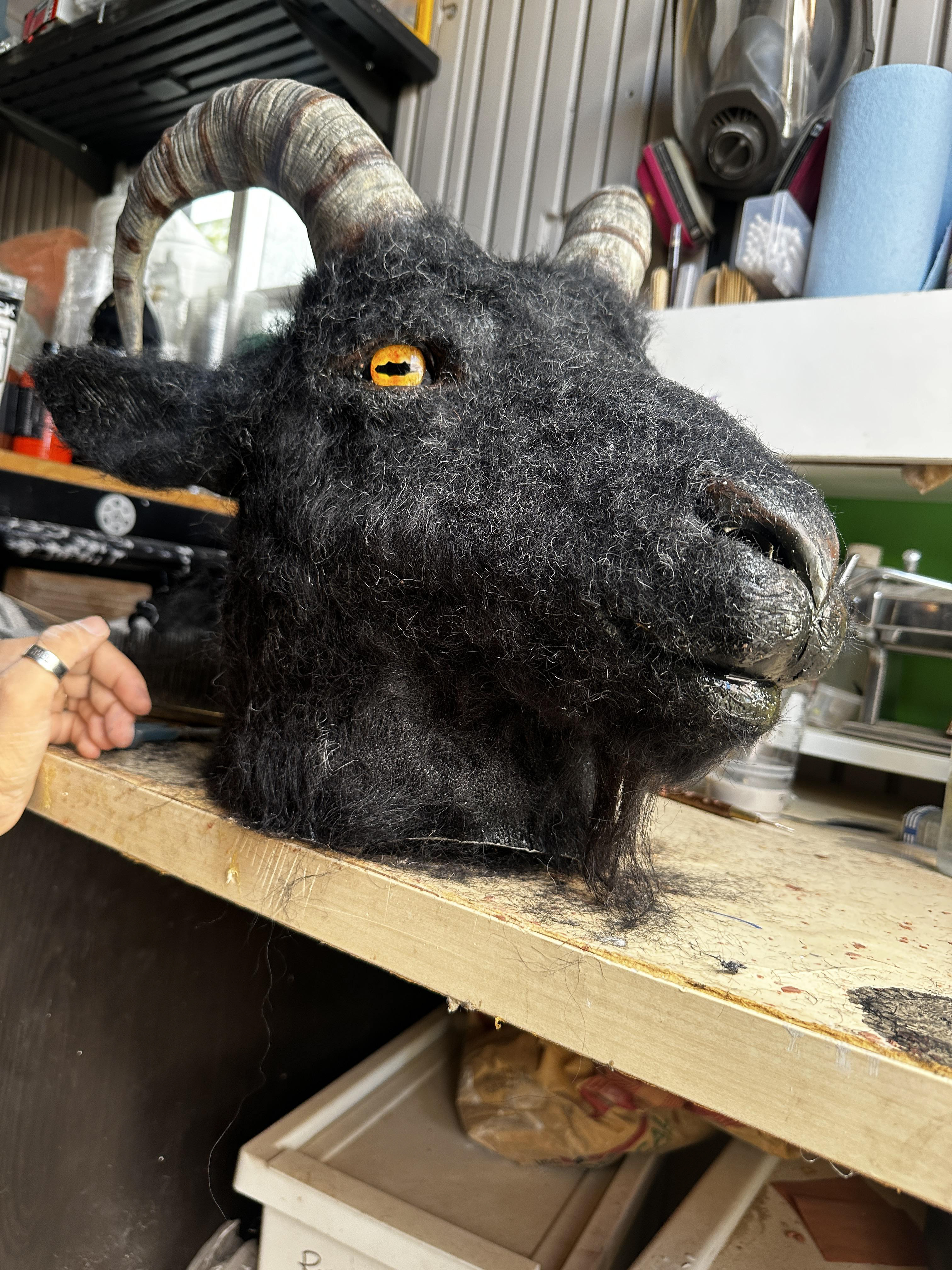 GOAT head PROP