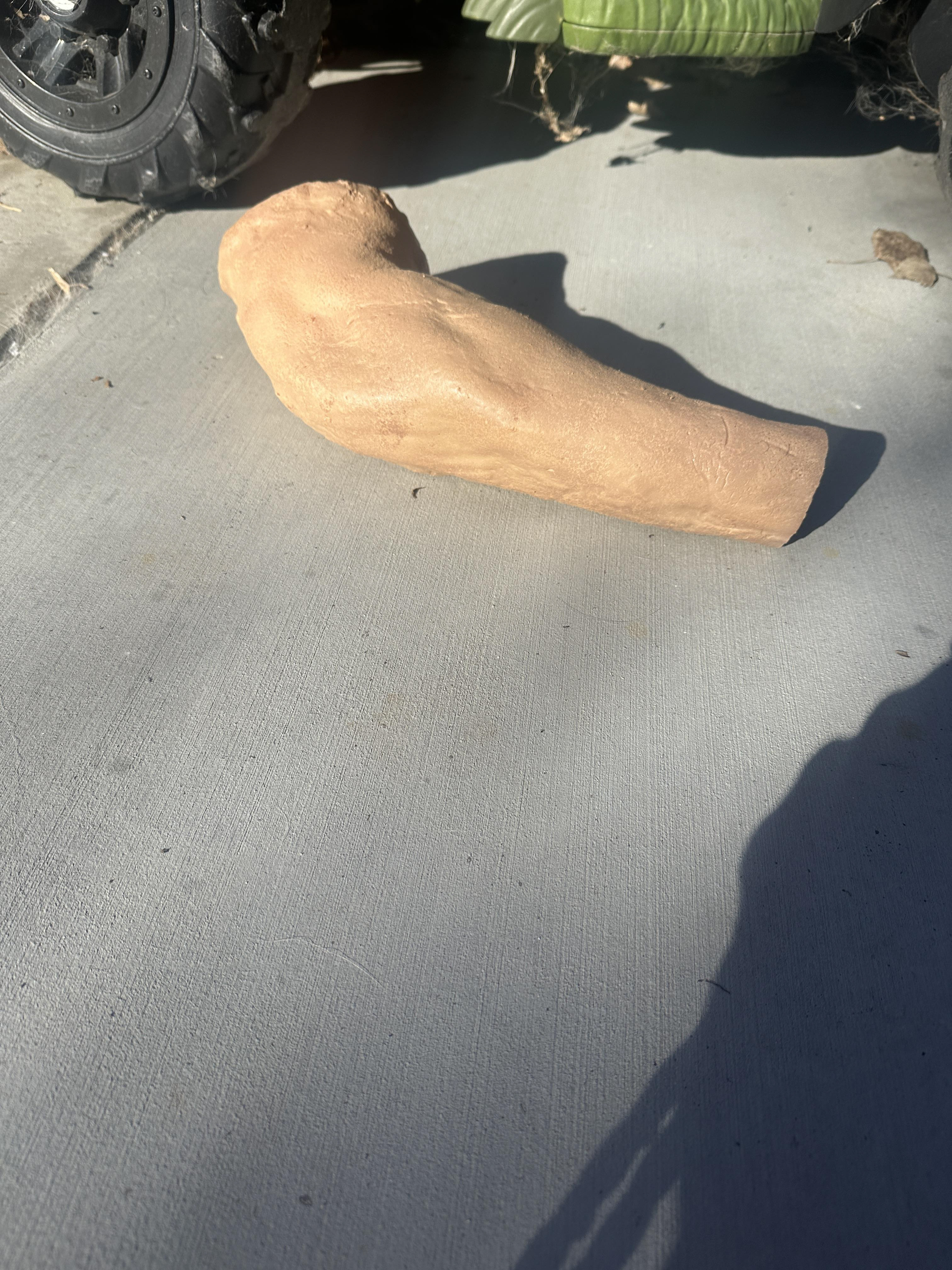 Body Parts PROPS