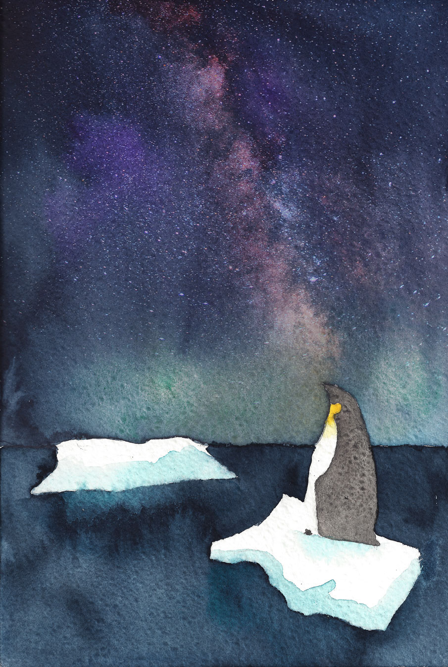 Carte postale pingouin